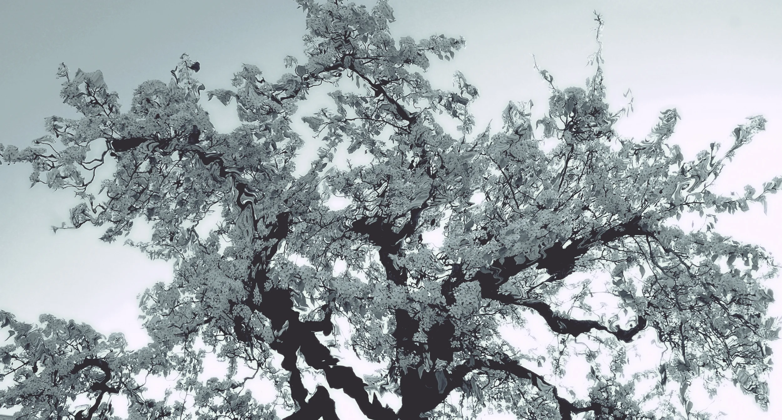 WATER TREE II 7'X4'
