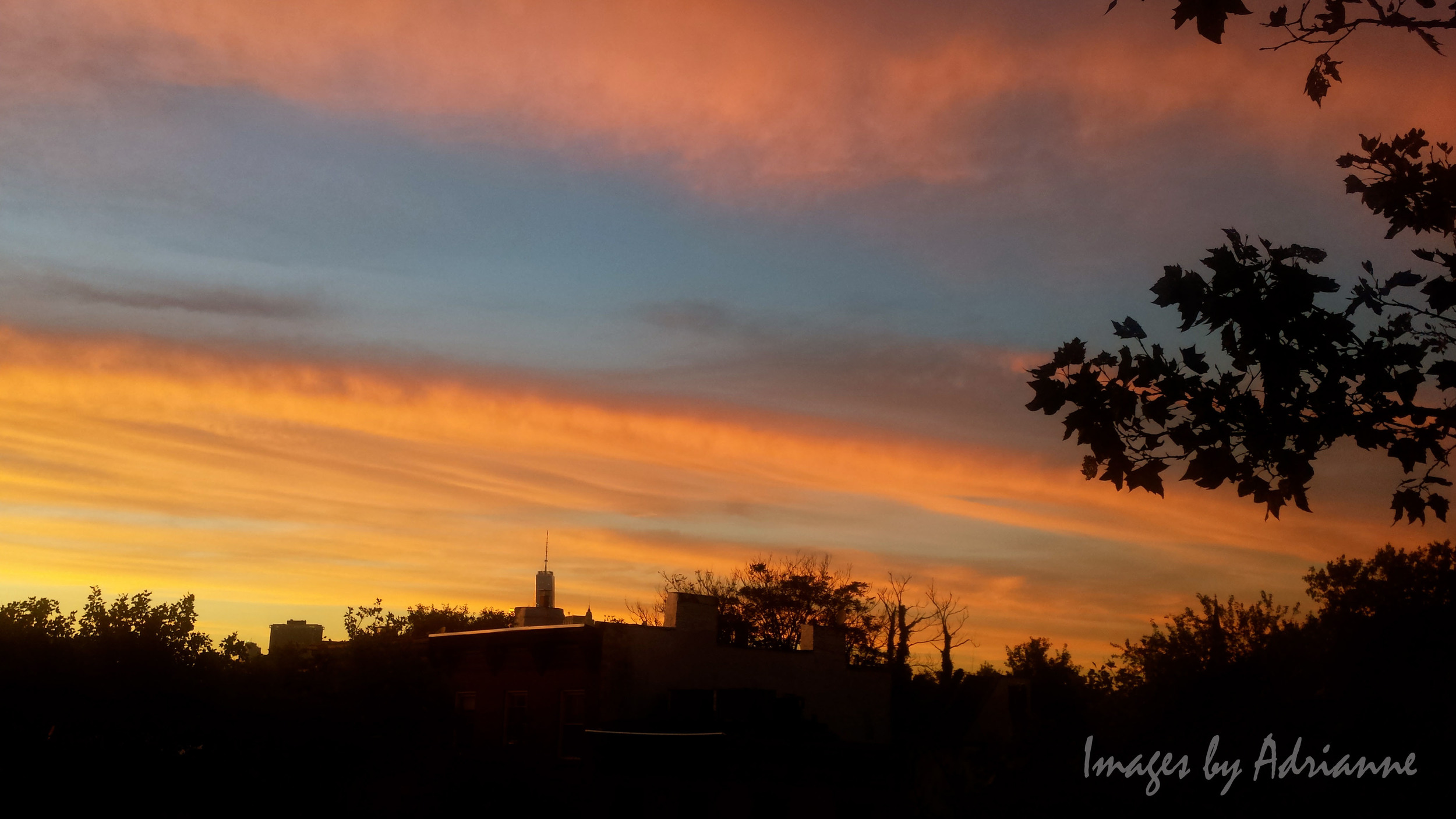 20140914_191337 wm.jpg