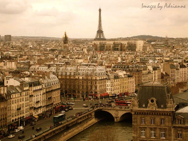 eiffel tower from notre dame.bmp wm.jpg