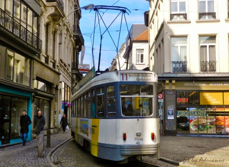 antwerptrolley wm.jpg