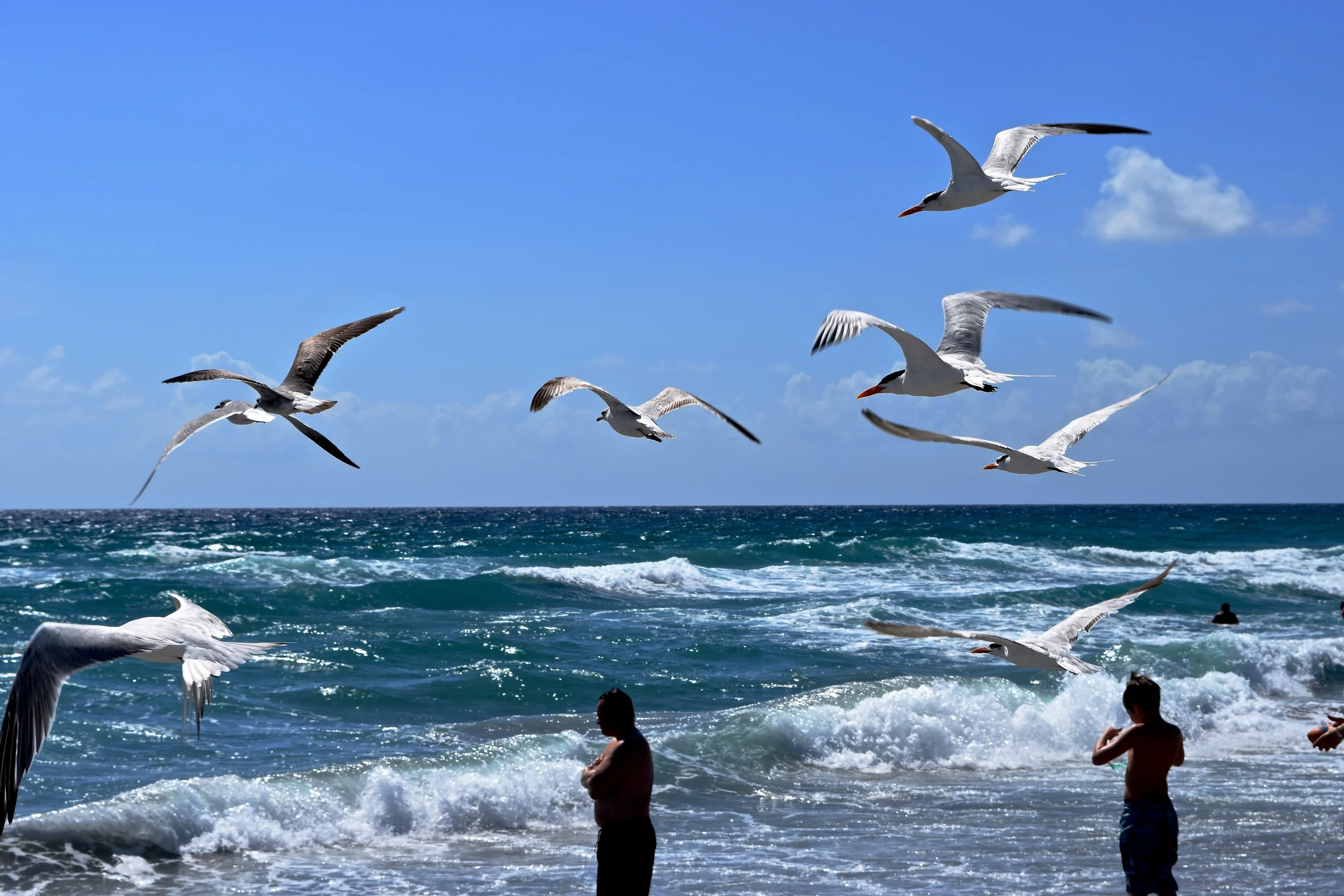 DSC_0116 - Version 2.JPG