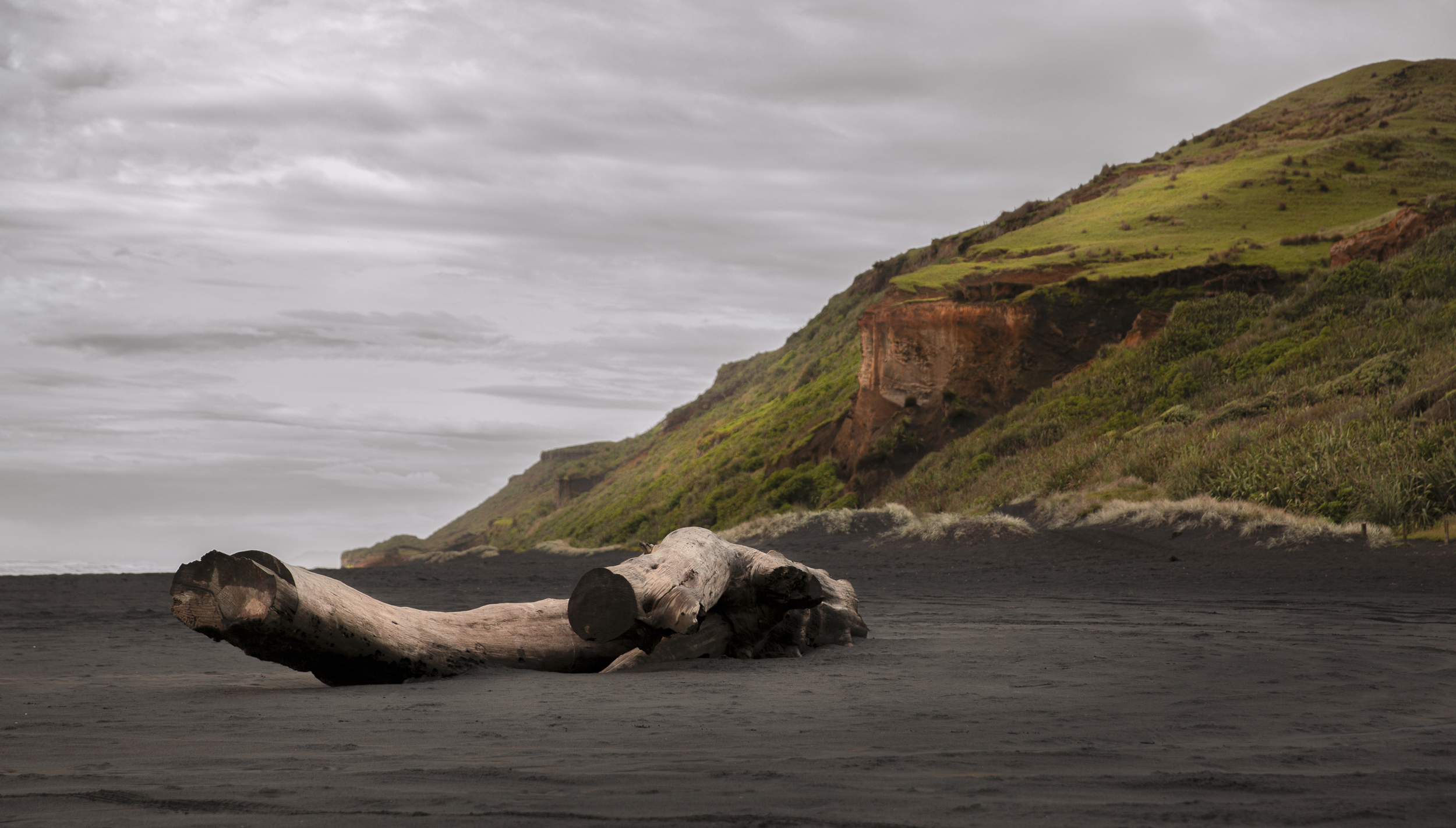 Karioitahi beach-1.png