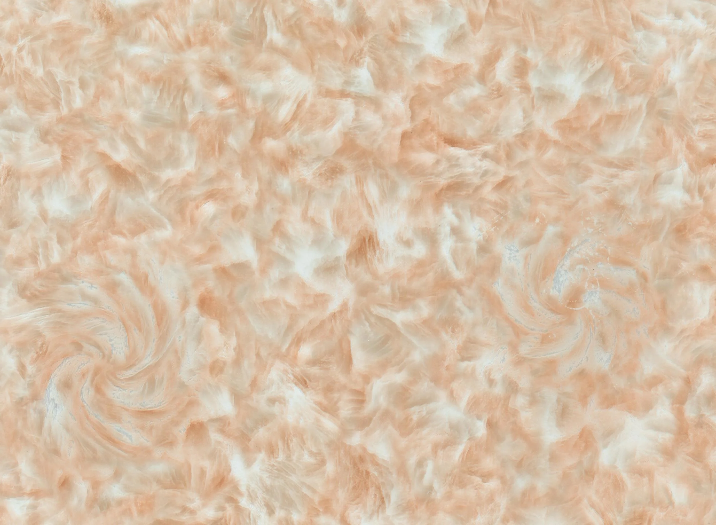 S1169