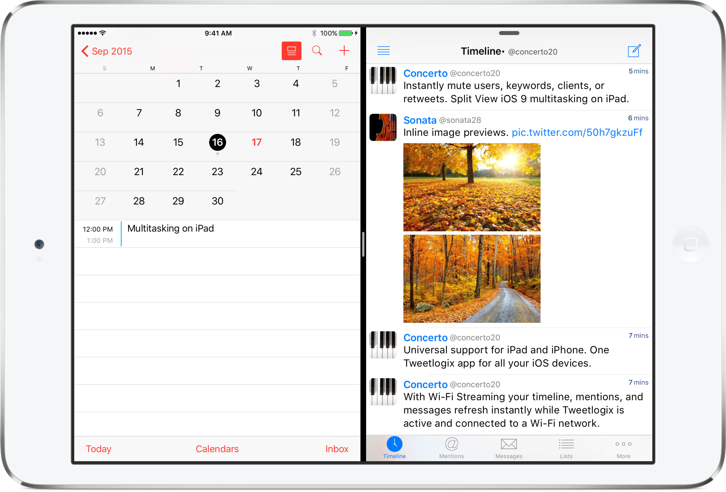  iOS Split View Multitasking 