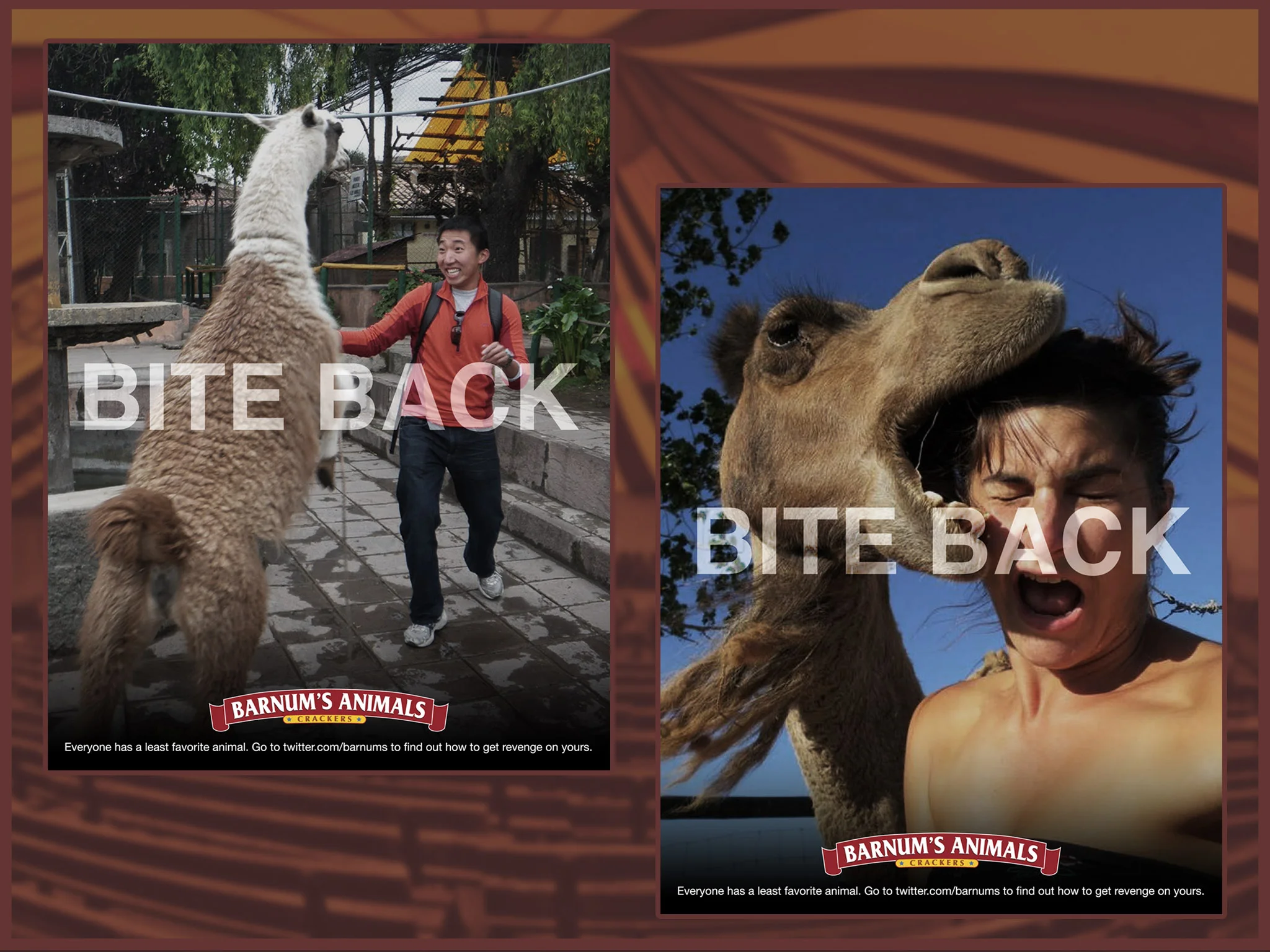 bite_back_boards_0001_board_2.jpg