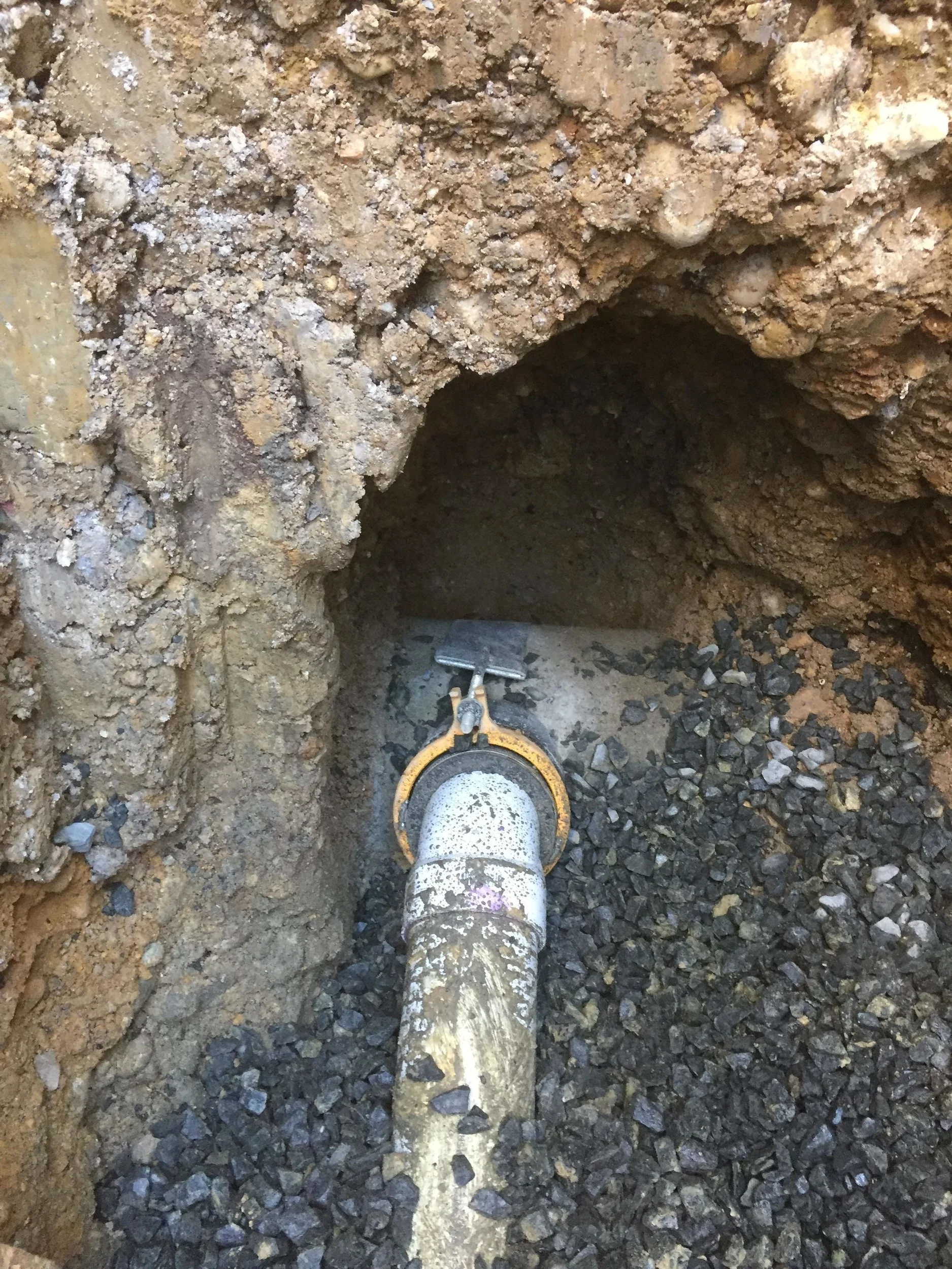 Sewer line connected to the sewer main. I didn't see it when they opened it to make the connection but it must have smelled. I'm sure there was at least 2 or 3 cockroaches. At least.