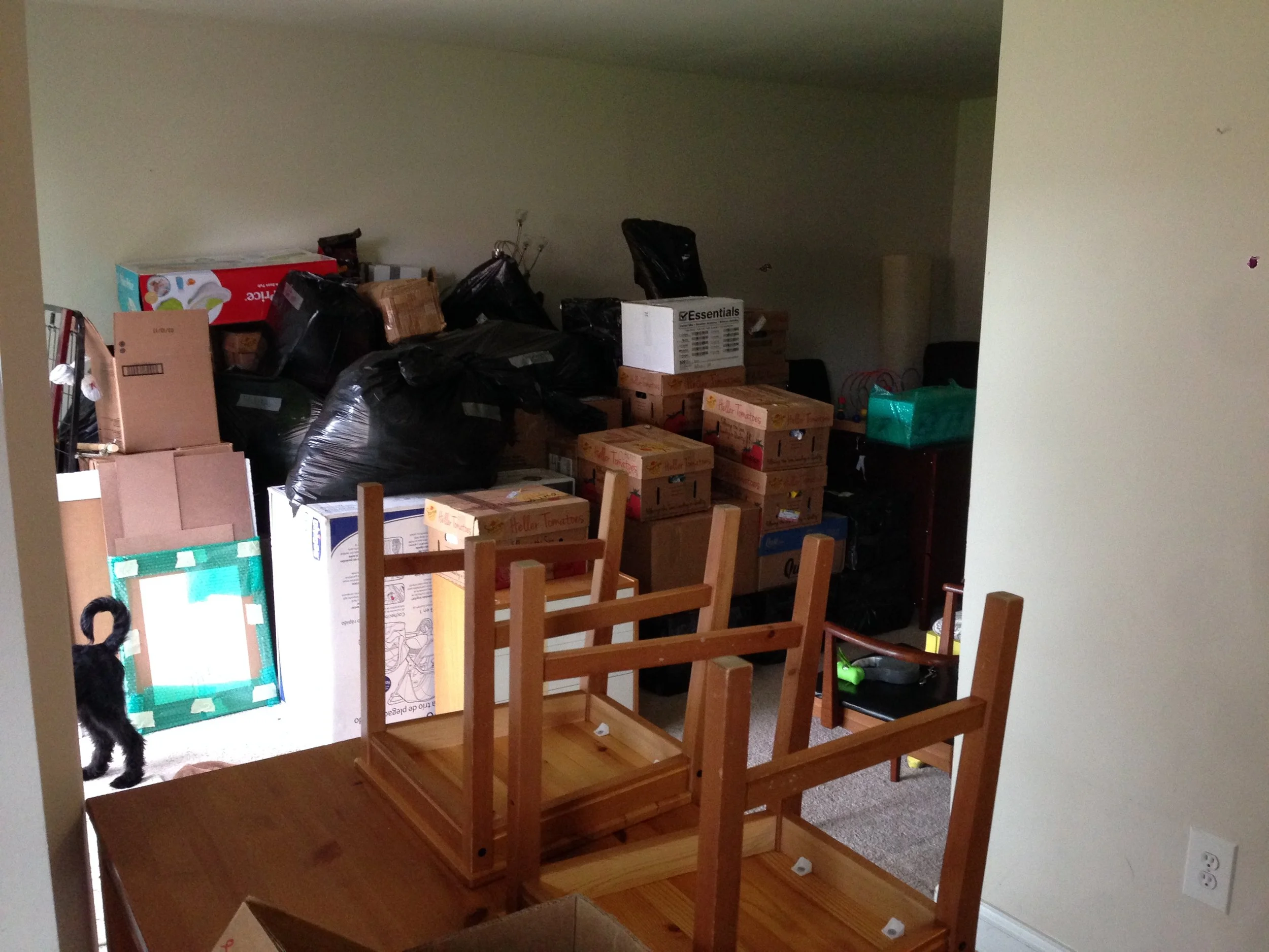 Almost all the remaining stuff in our house. We used so many boxes and garbage bags. The agony of money.