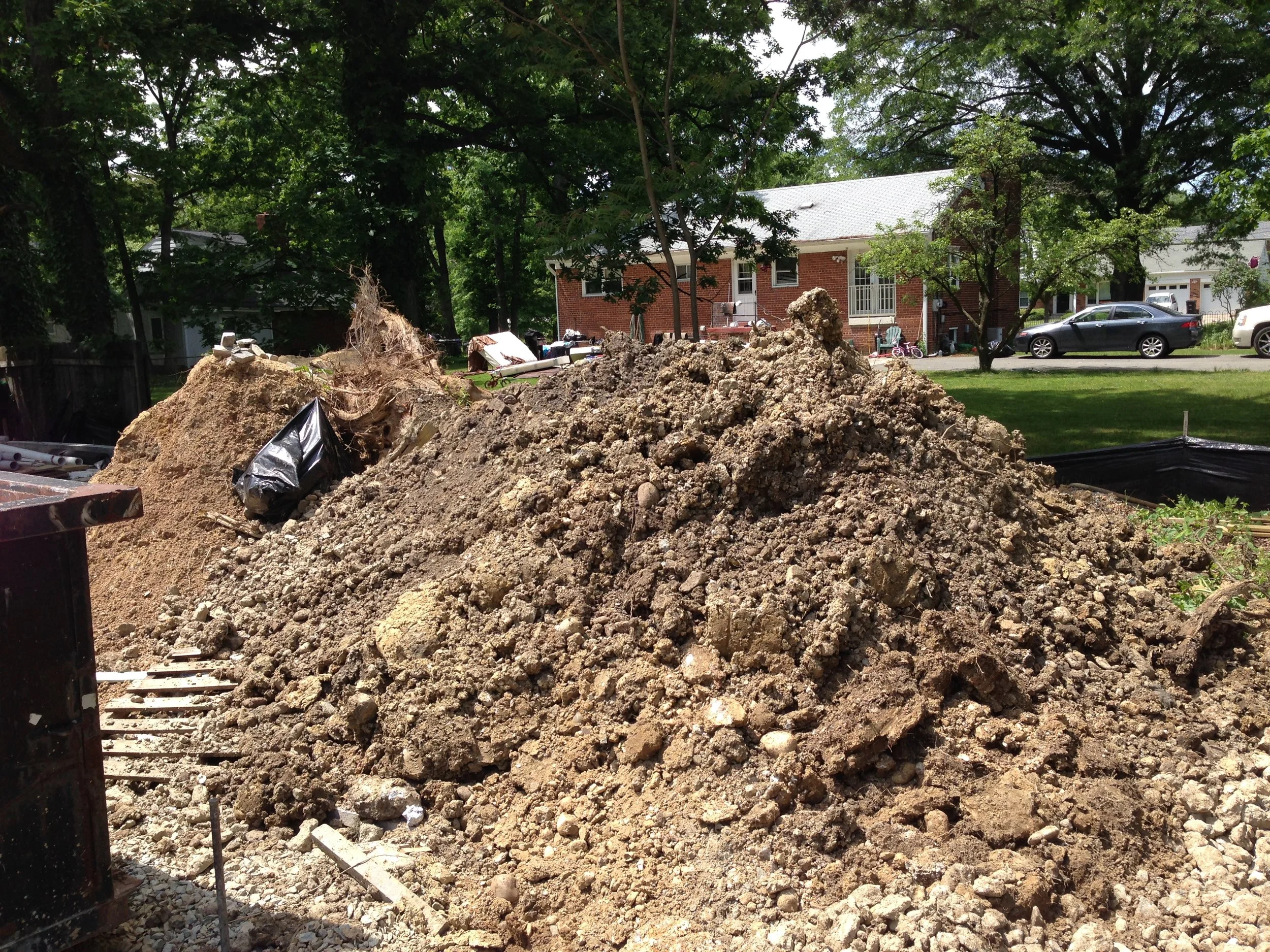 LCS dug out a lot of dirt that I was not ready for. More dirt for Pedro to play with.