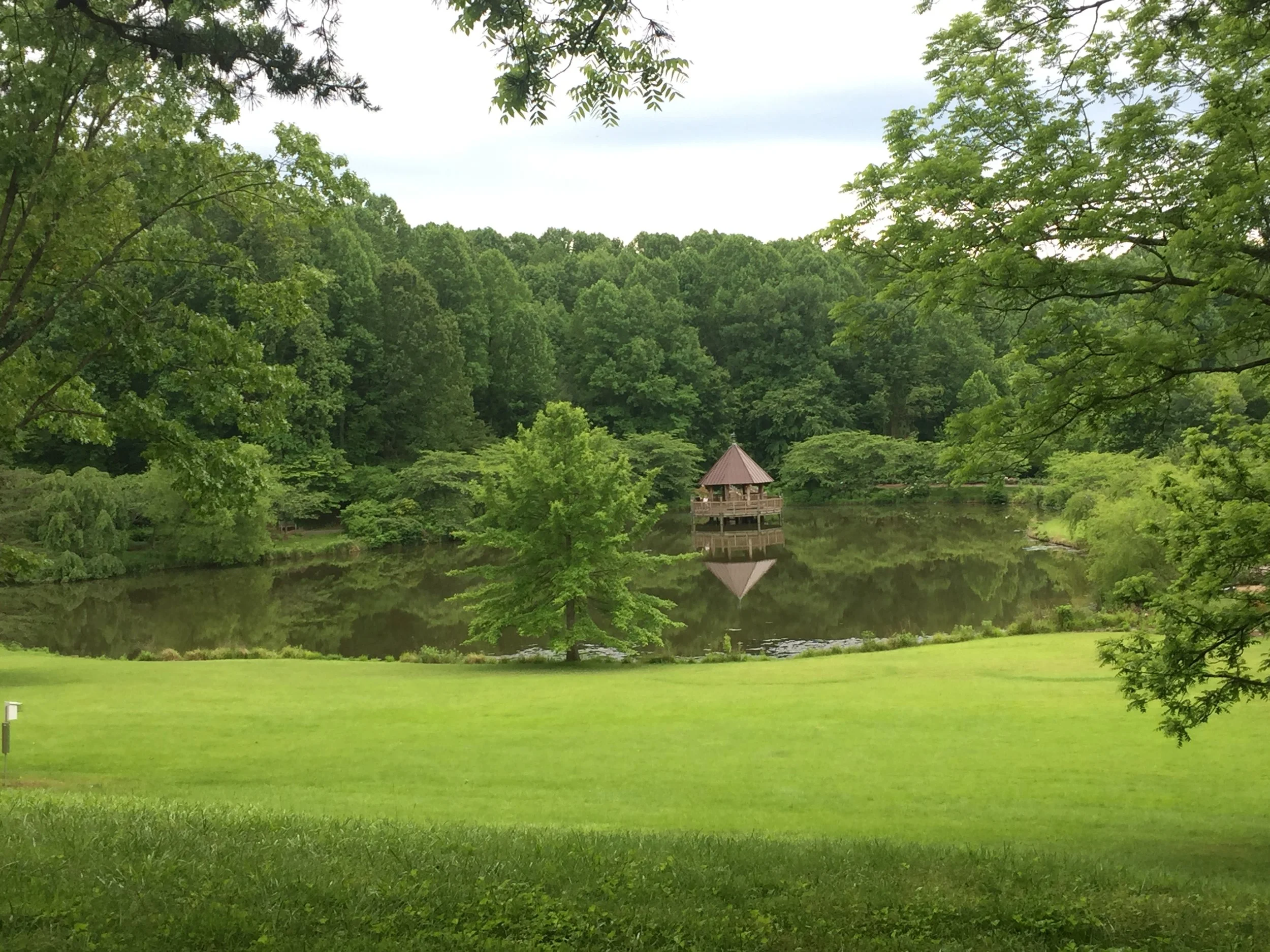 Meadowlark Botanic Gardens. It gave us a relaxing morning.