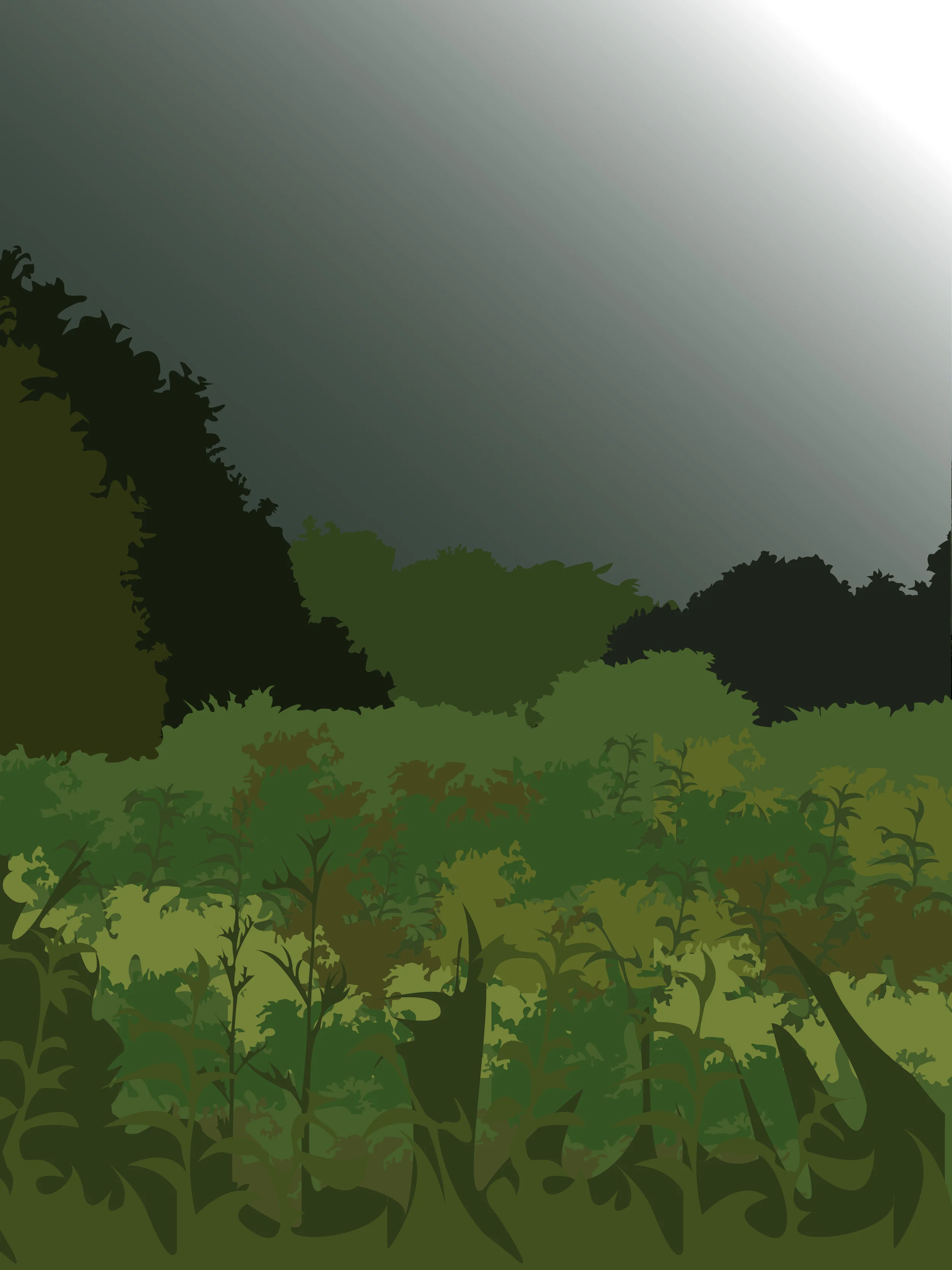 Landscape 1 FINAL.jpg