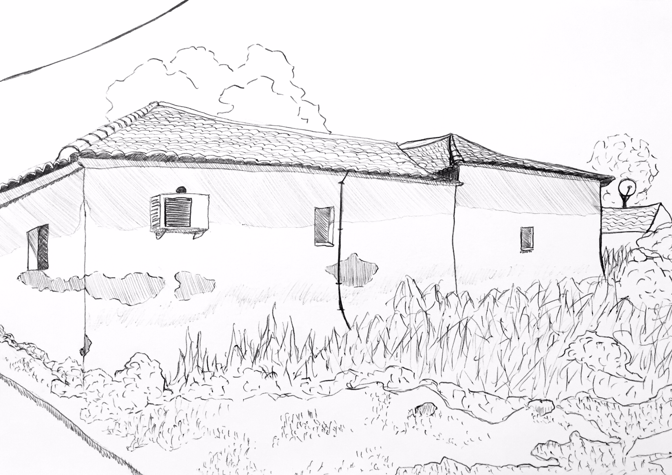 Strofilia Sketch 4, 2016
