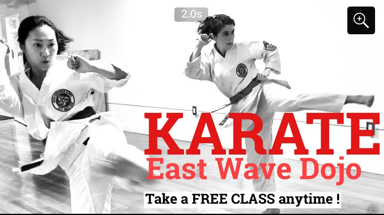 ADULT KARATE, KIDS KARATE, KARATE FOR KIDS, FOCUS, FITNESS, SELF DEFENSE, ANTI-BULLYING