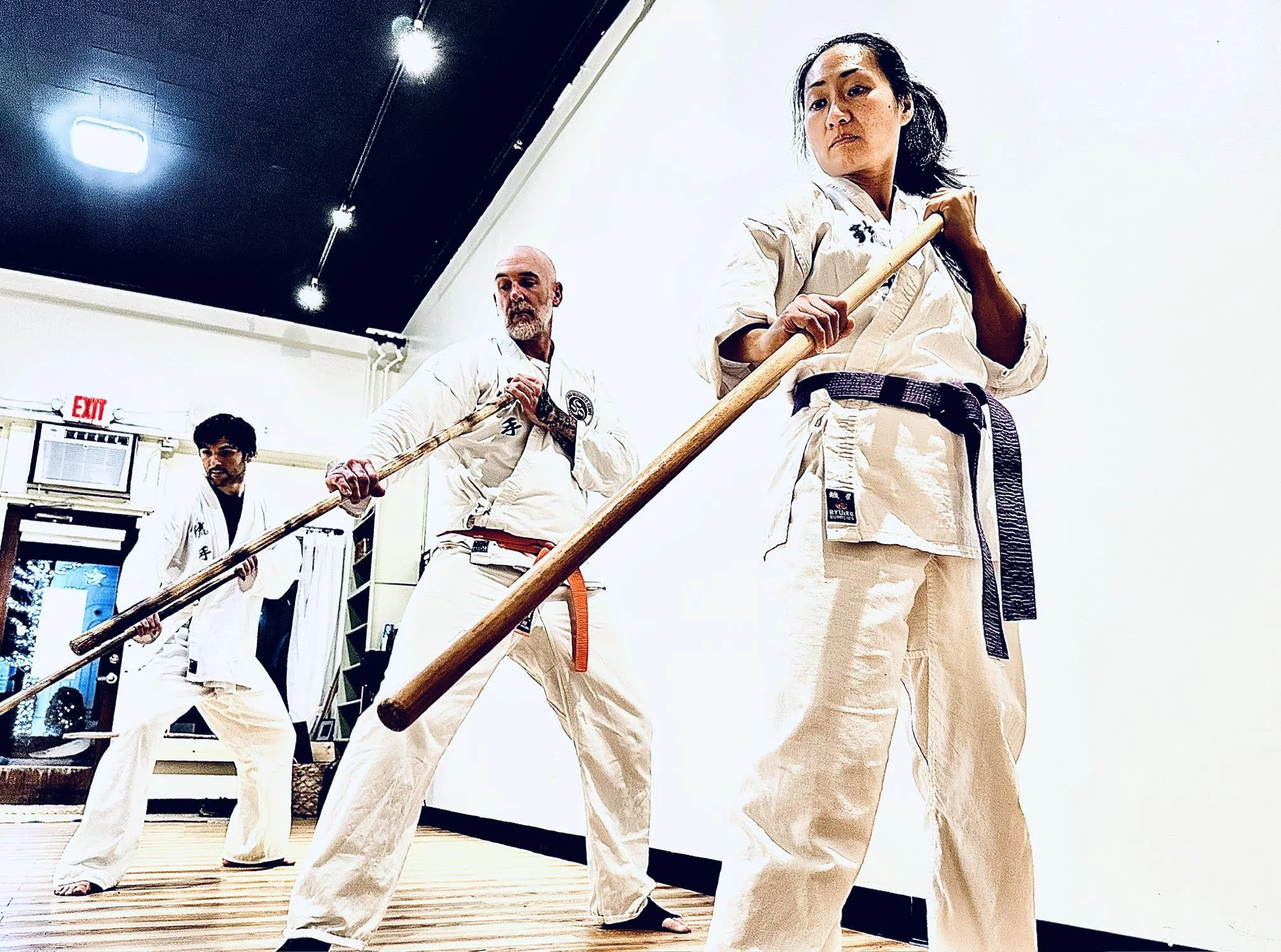EAST WAVE DOJO - MICHAEL POLITO-KARATE IN POUGHKEEPSIE NY ADULT CLASSES