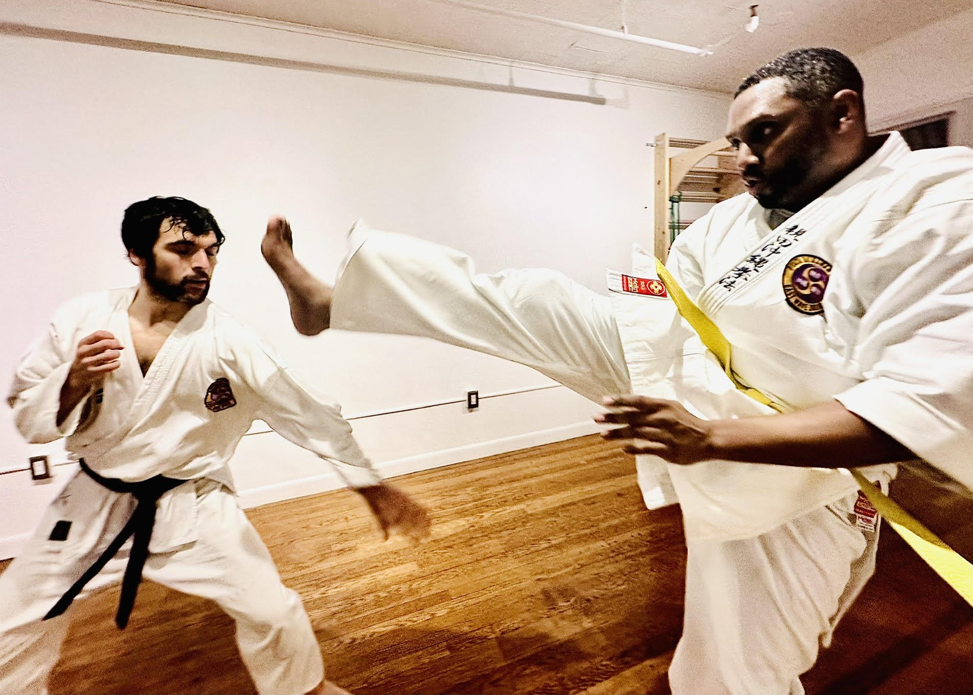 KARATE CLASSES FOR ADULTS- EAST WAVE DOJO-MICHAEL POLITO