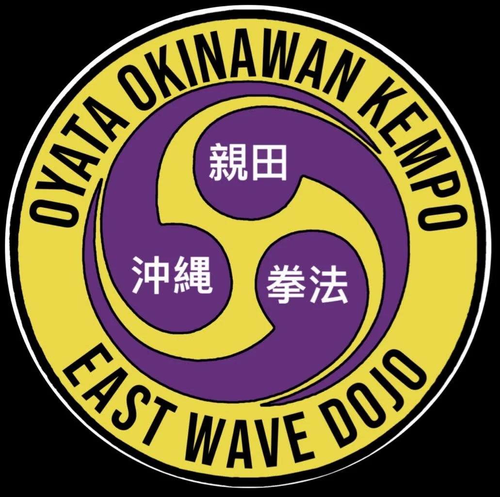 JAPANESE KARATE, OKINAWAN KARATE, KARATE FOR ADULTS, KARATE FOR KIDS, KARATE NEAR ME, FOCUS, SELF ESTEEM