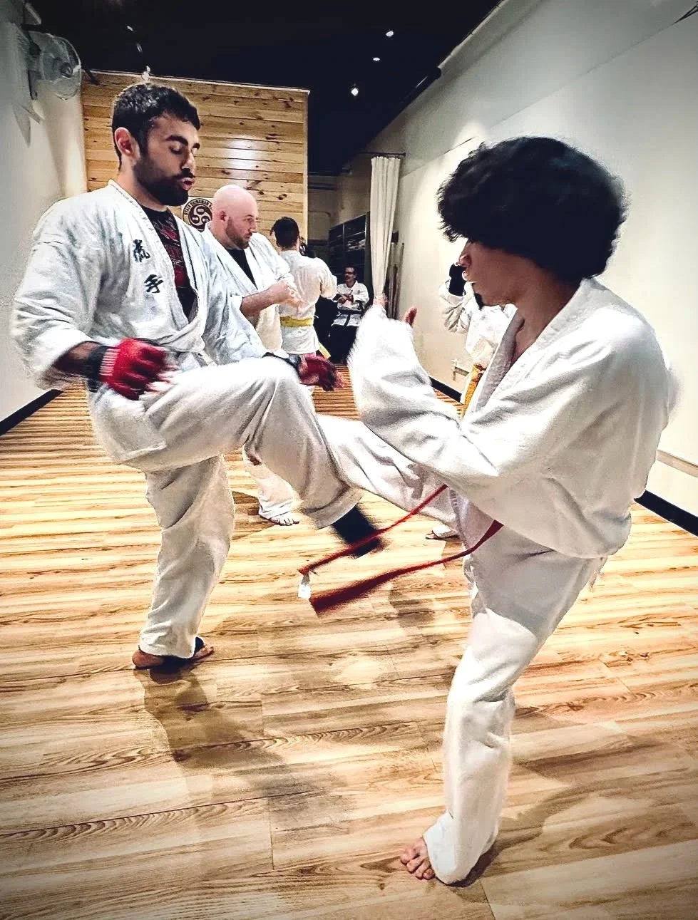EAST WAVE DOJO - MICHAEL POLITO KARATE CLASSES KIDS AND ADULTS #KARATEINPOUGHKEEPSIE #KARATENEARME #SELFDEFENSE