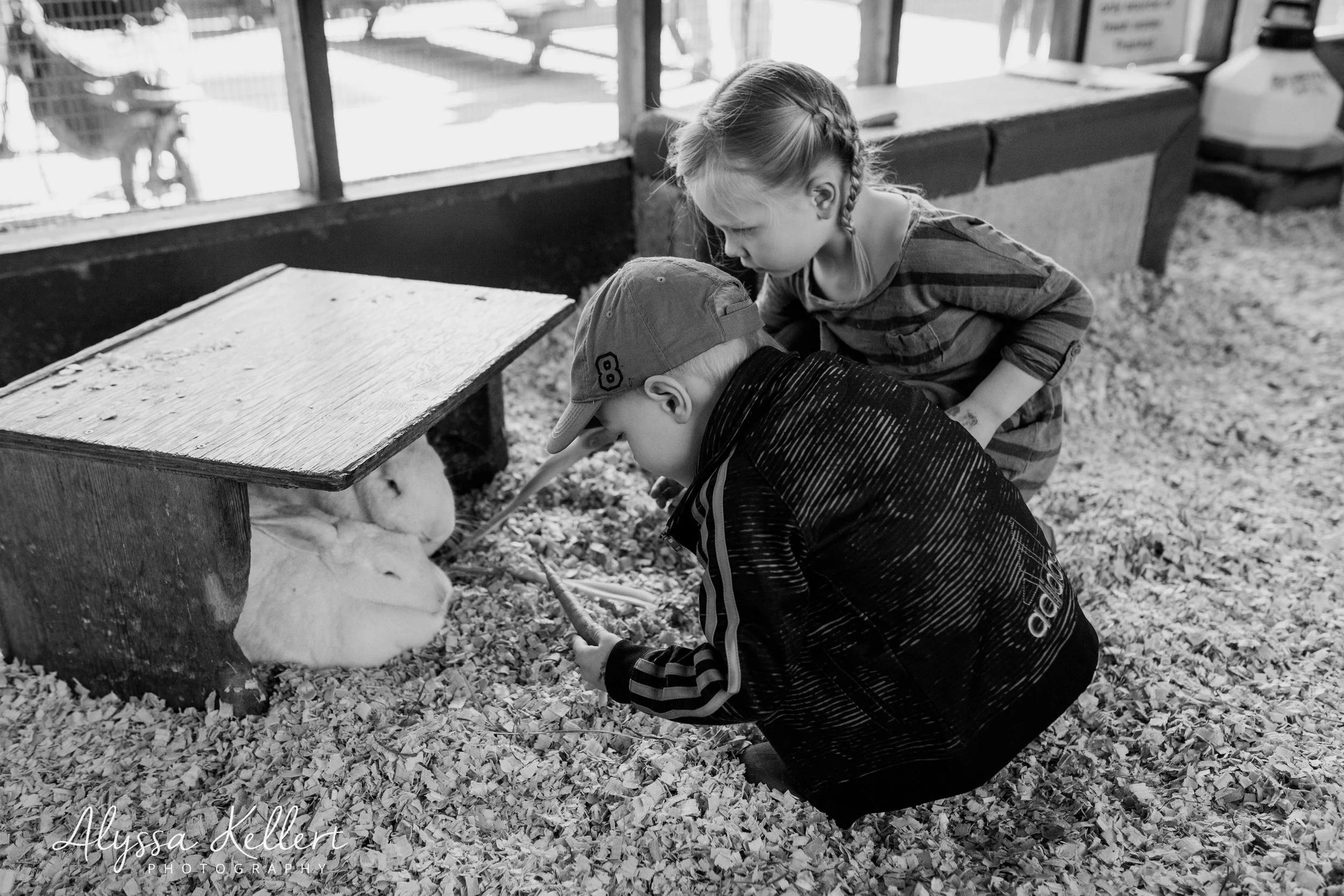 Day89-5wm.jpg