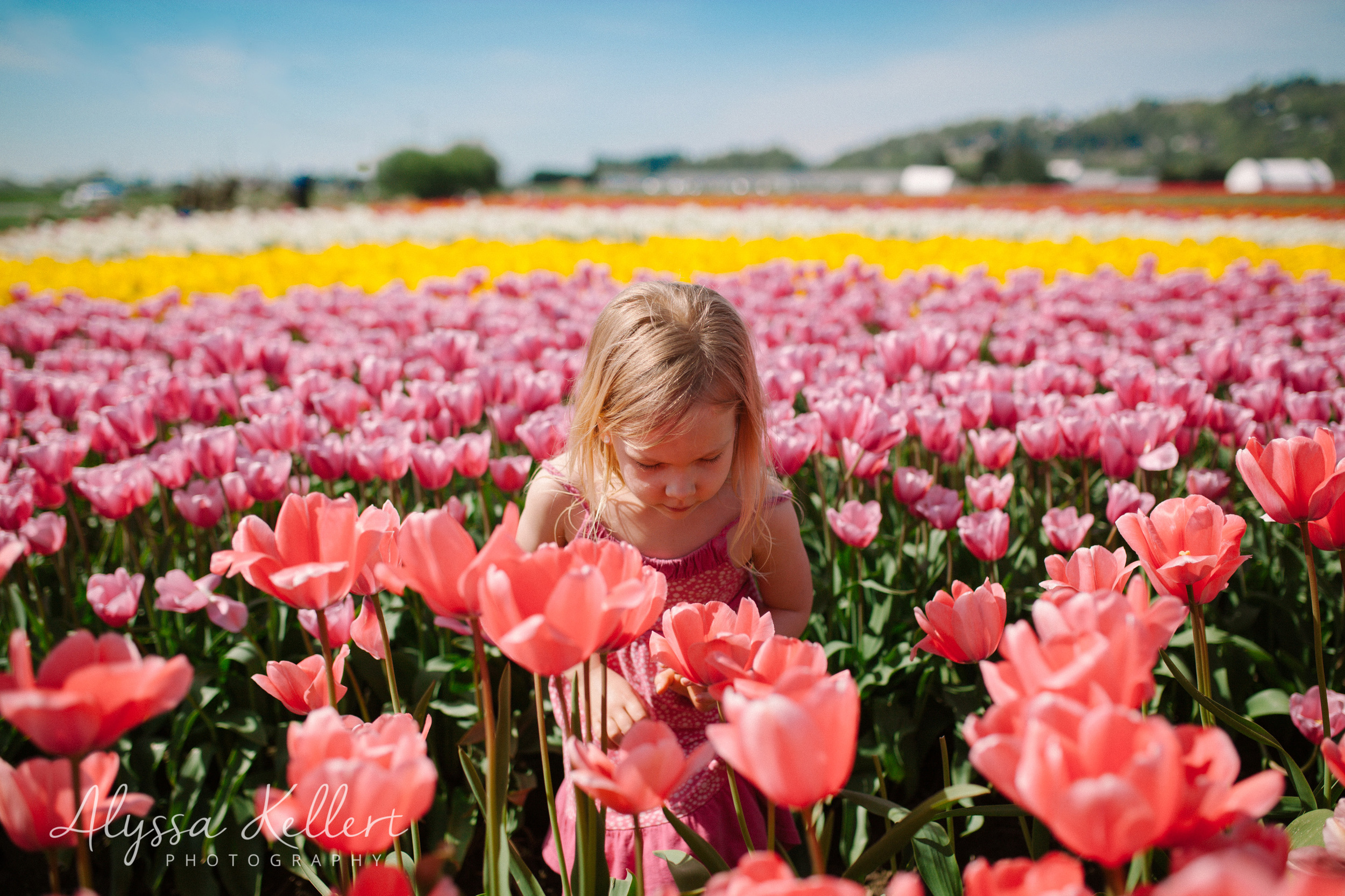 366 Project - These are the Days | APRIL