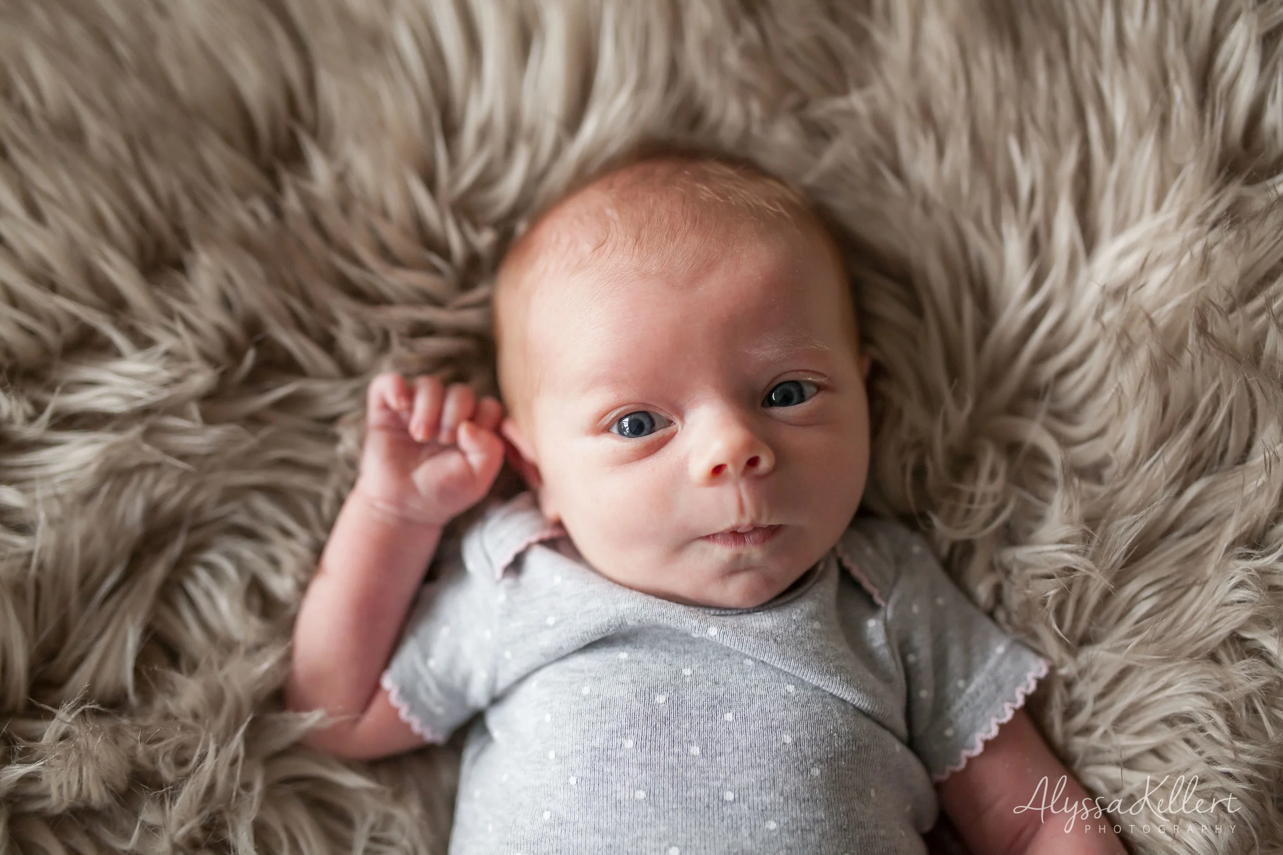 IMG_0058-Edit.jpg
