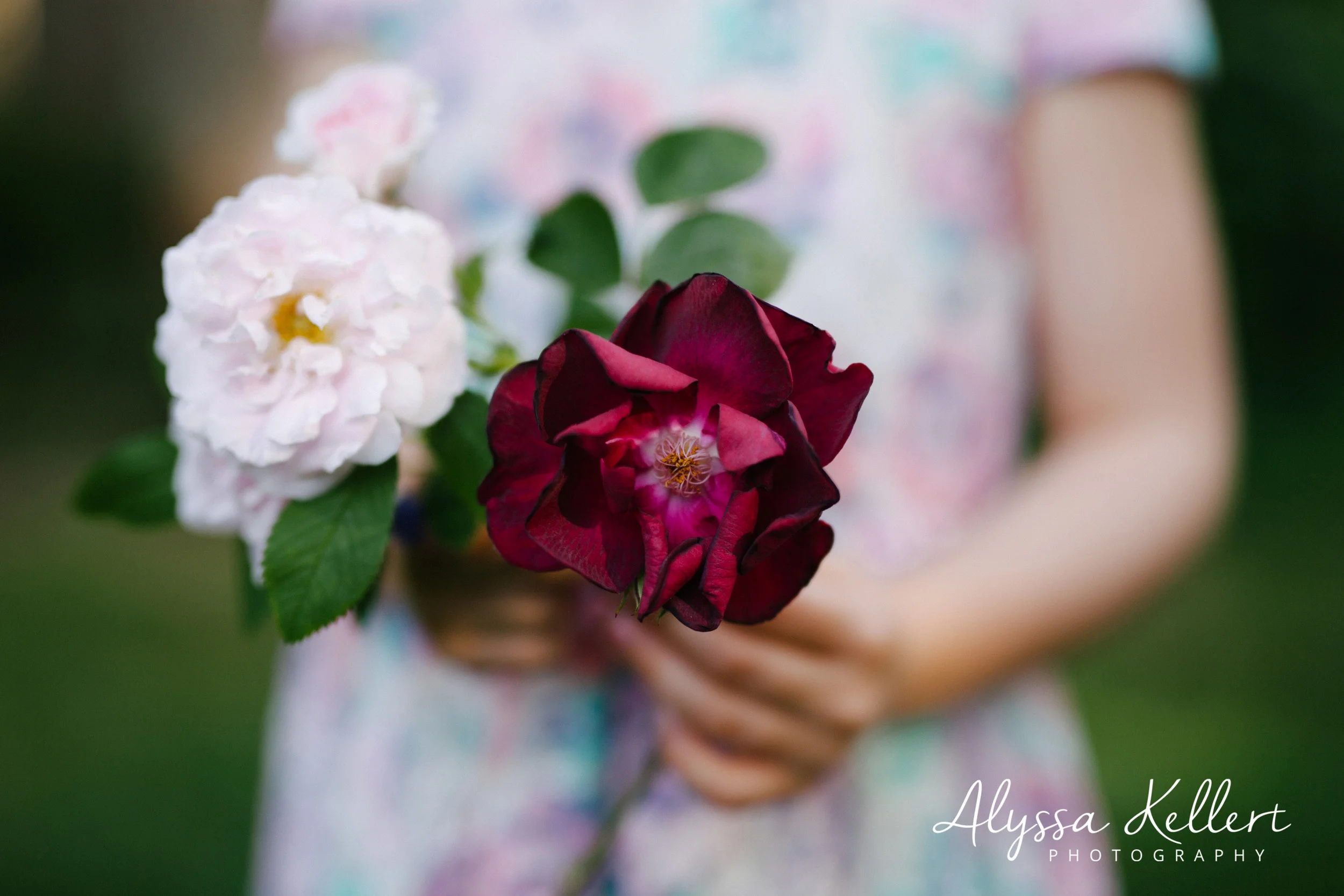 366 Project - These are the Days - May