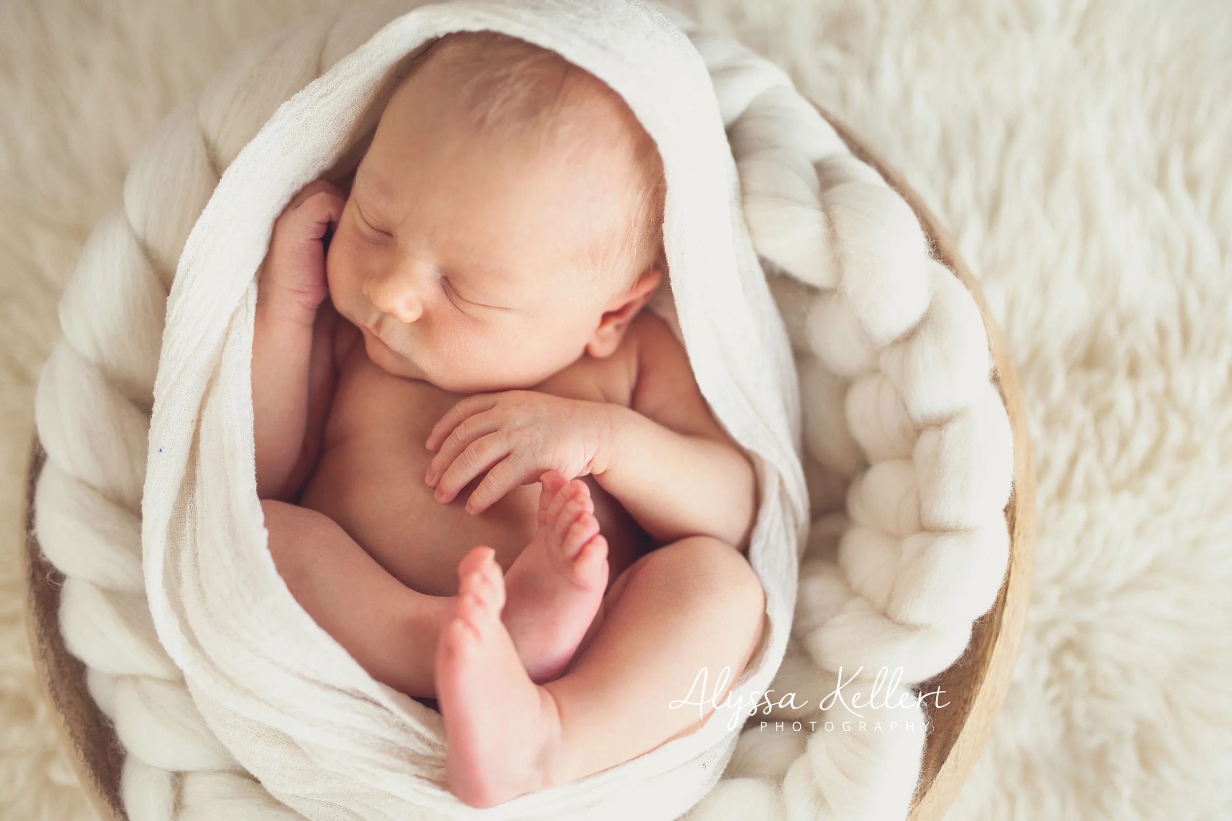 Photo by: Alyssa Kellert Photography