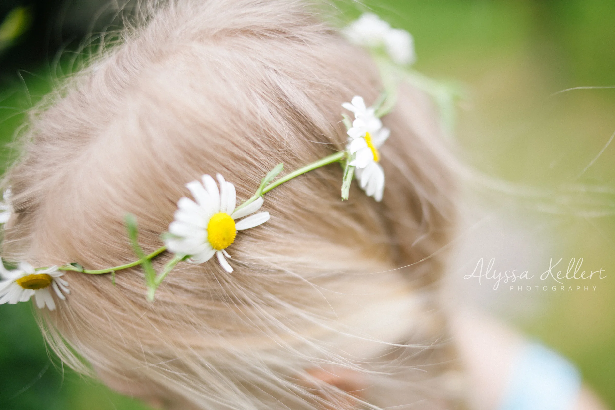 366 Project - These are the Days | JUNE