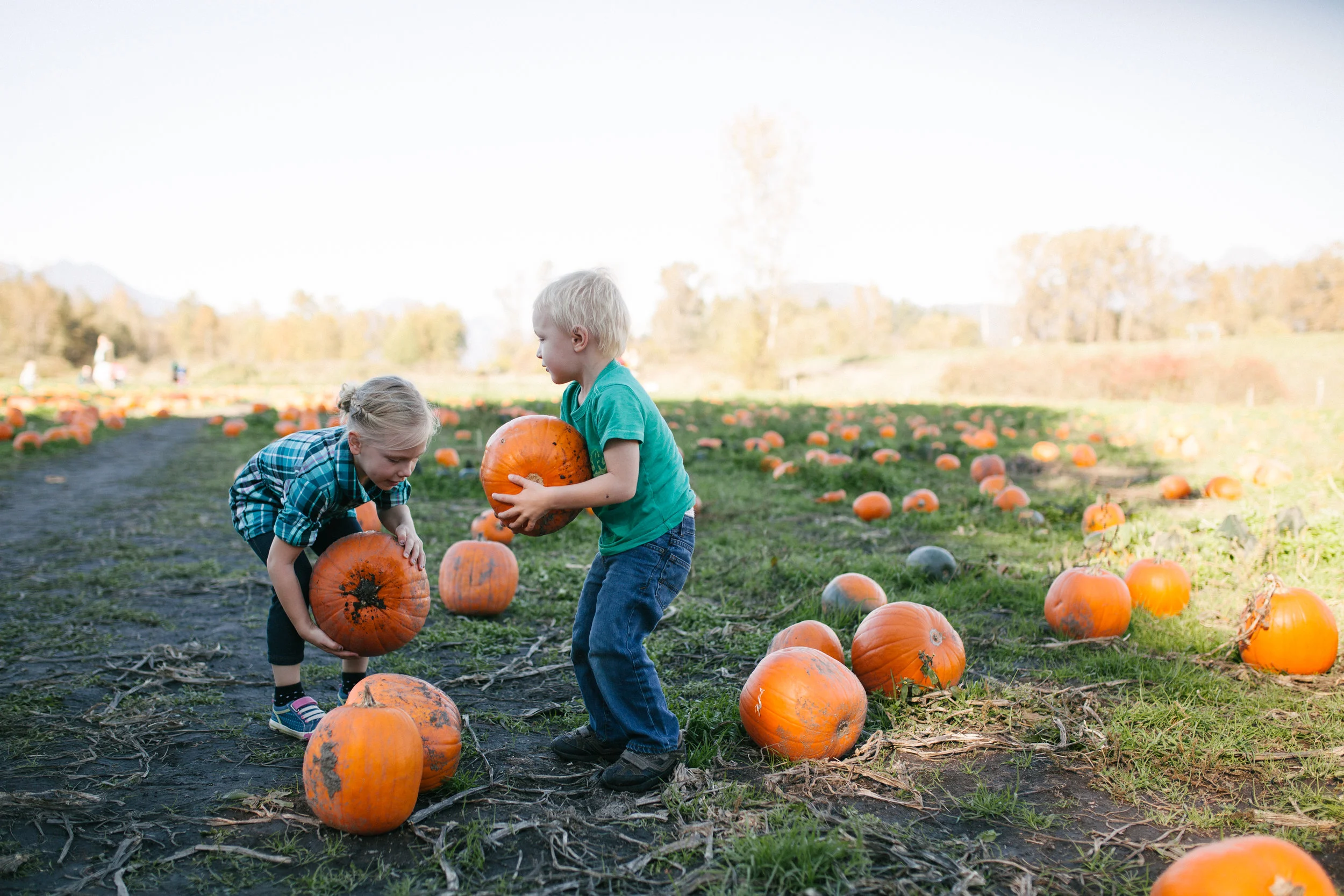  366 Project - These are the Days | OCTOBER