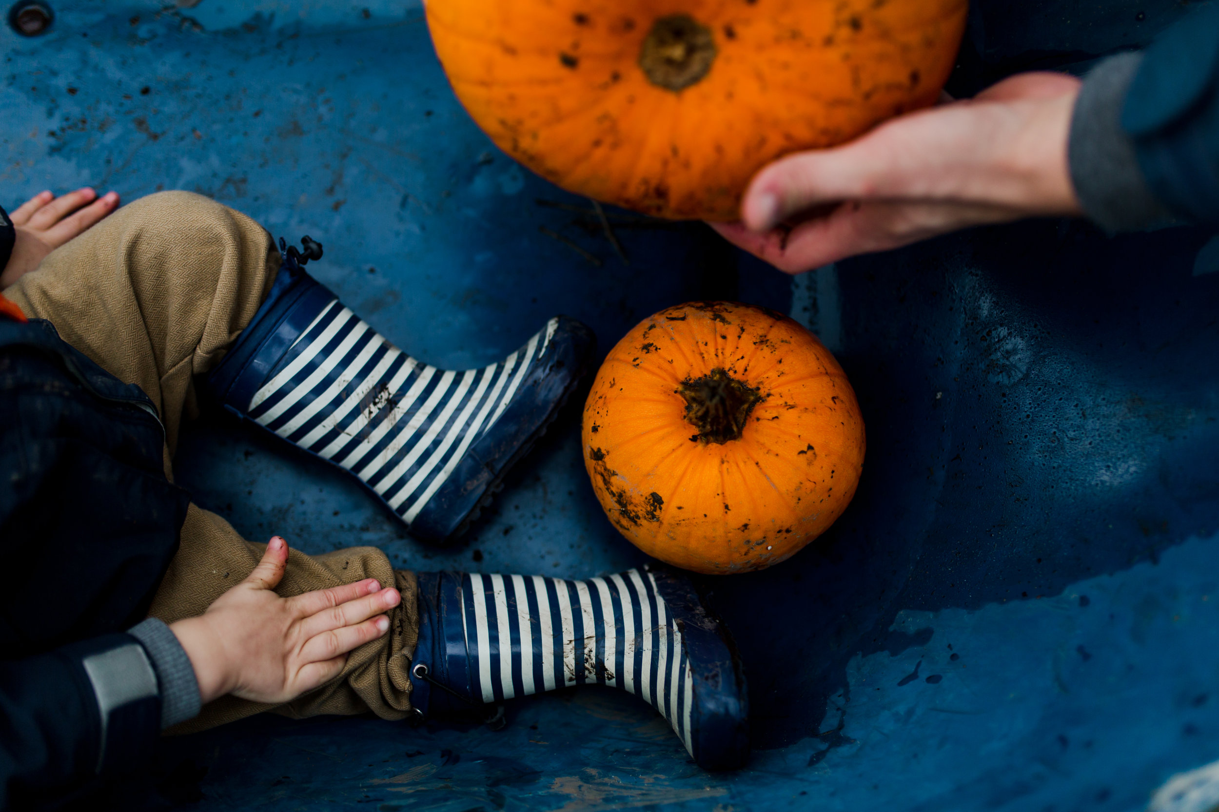 Pumpkin Patch with the Family | Family Storytelling Photography