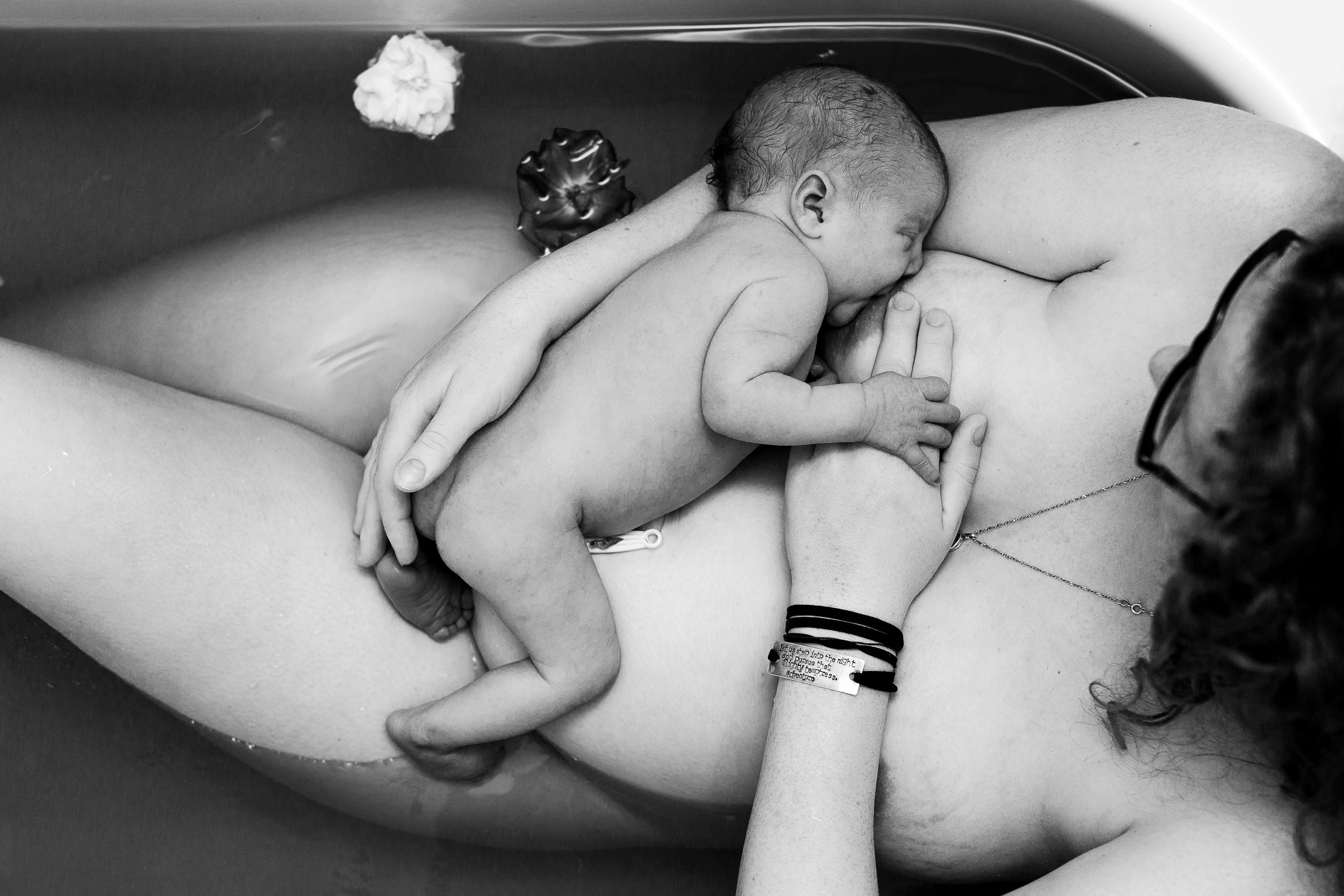 postpartum herbal bath newborn photography