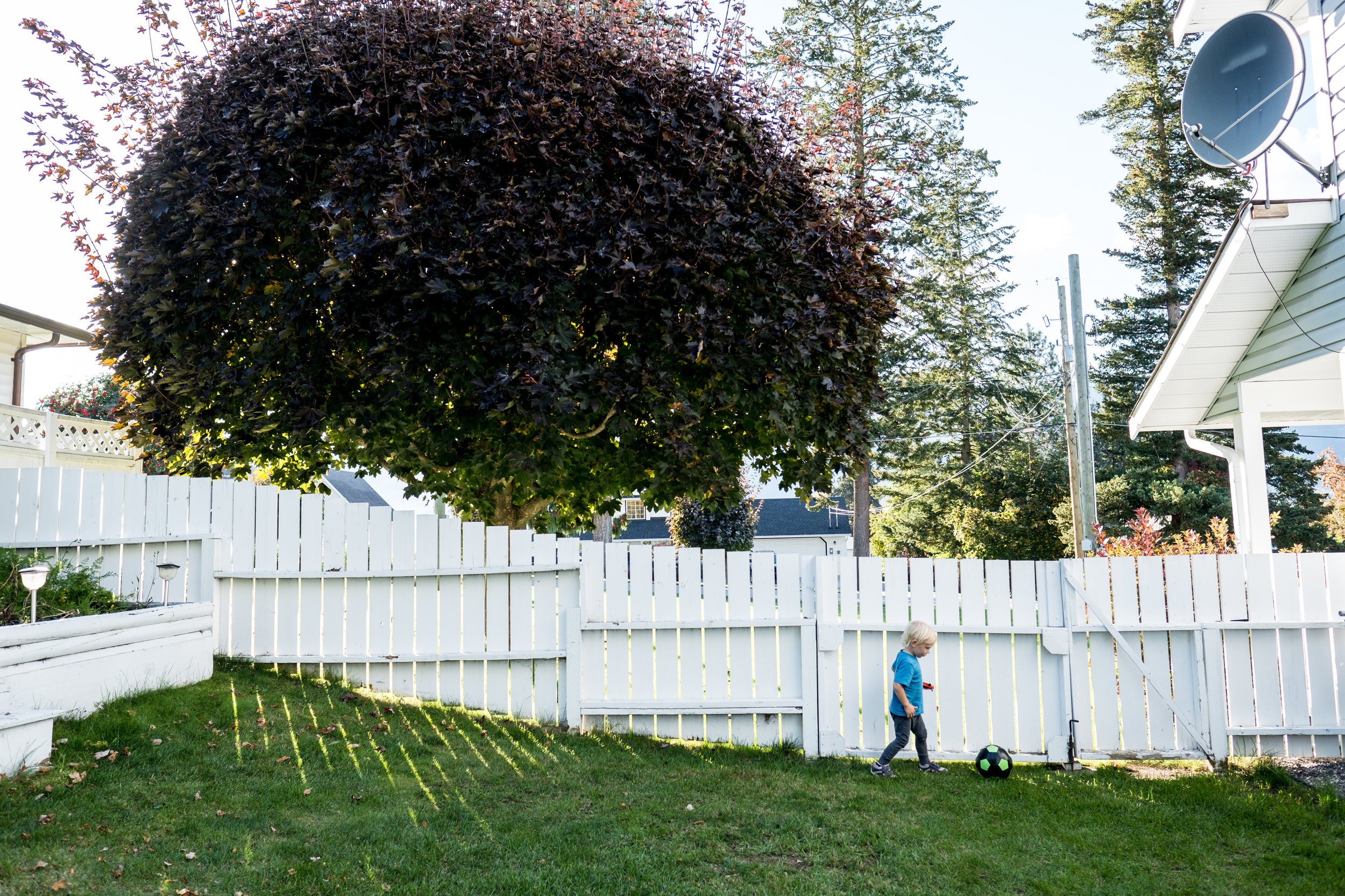 These are the Days // 365 Daily Photo Project - September 2018