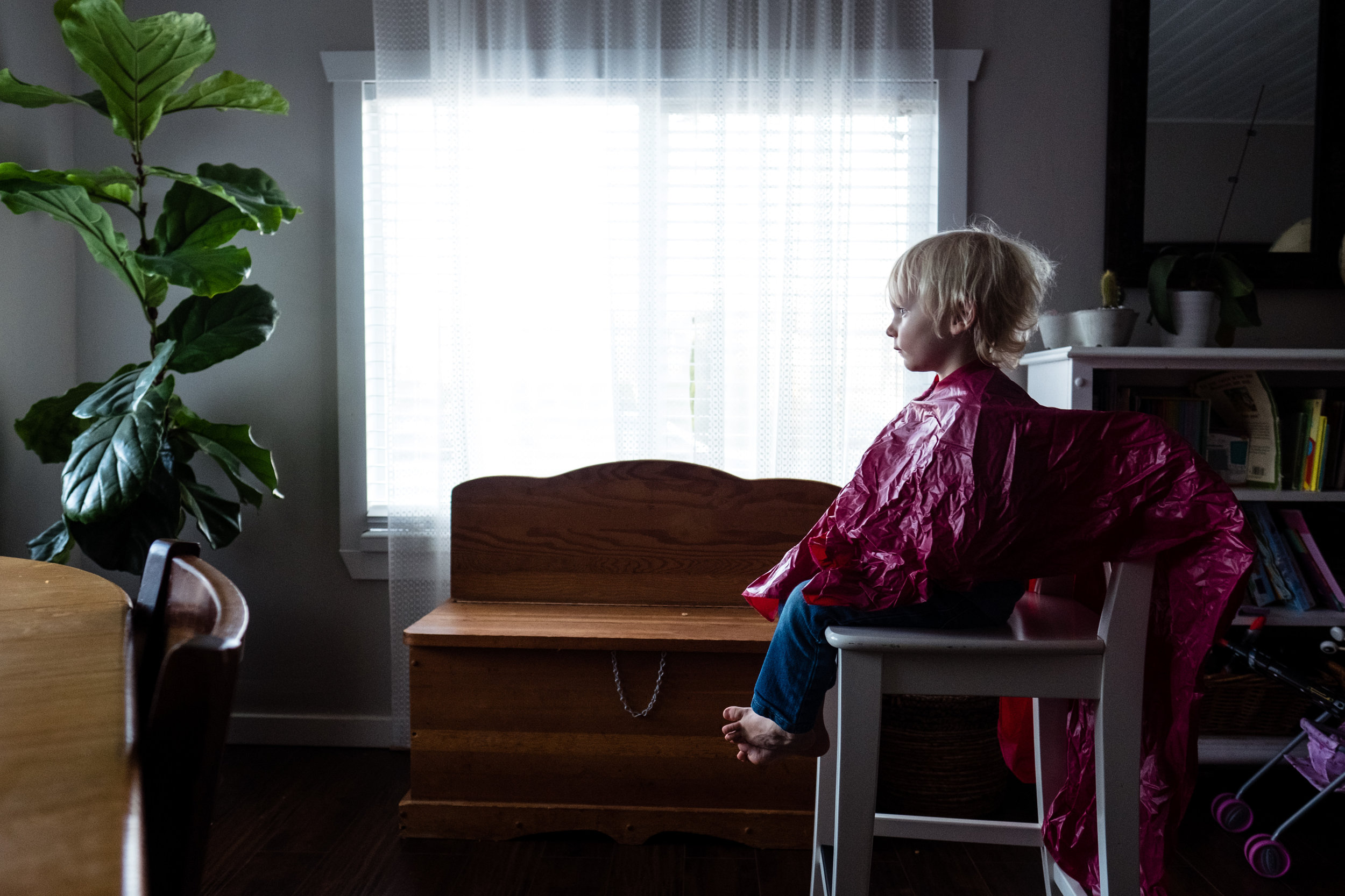 little boy getting a haircut at home by a window with a red cape