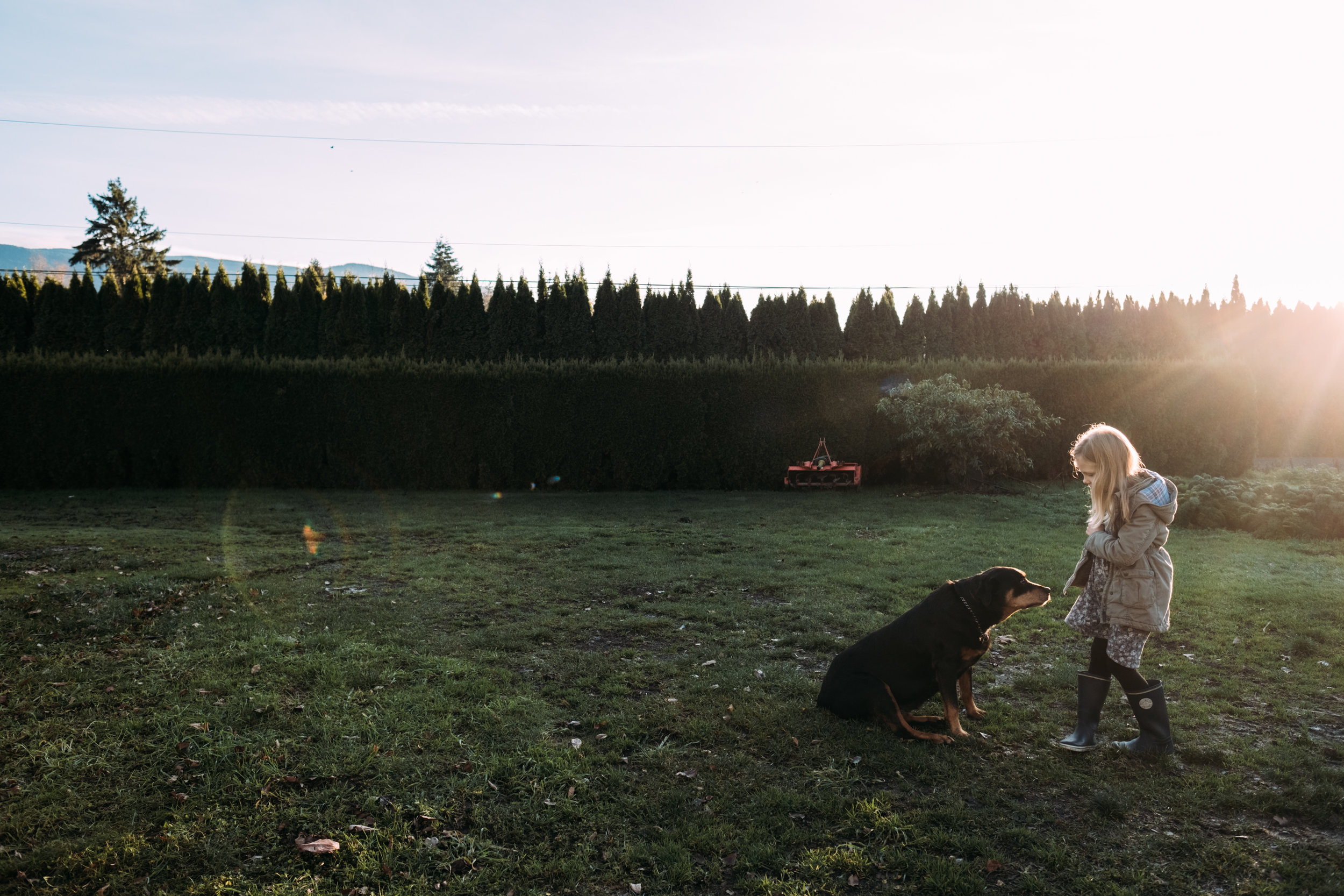 girl with dog on grass at sunset in chilliwack fraser valley canada photographer