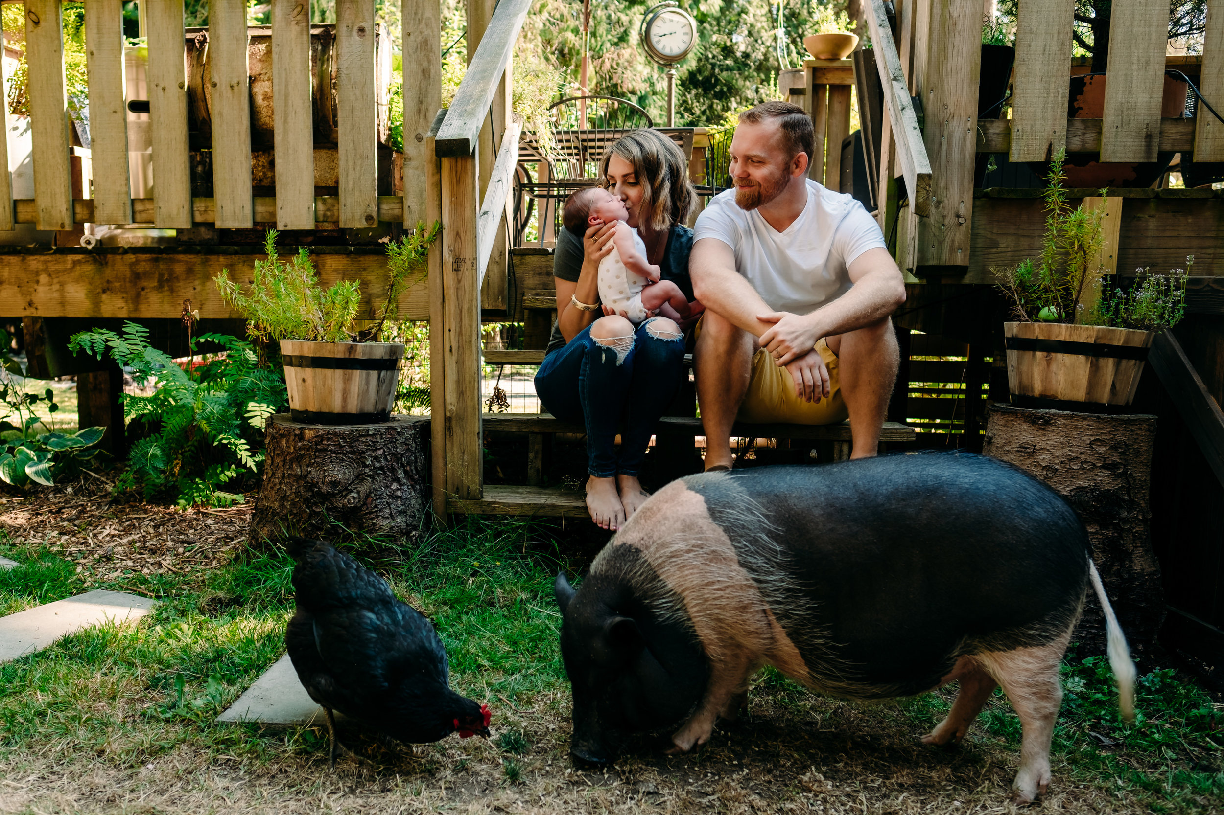 family-newborn-adoption-pig-chicken-porch.jpg