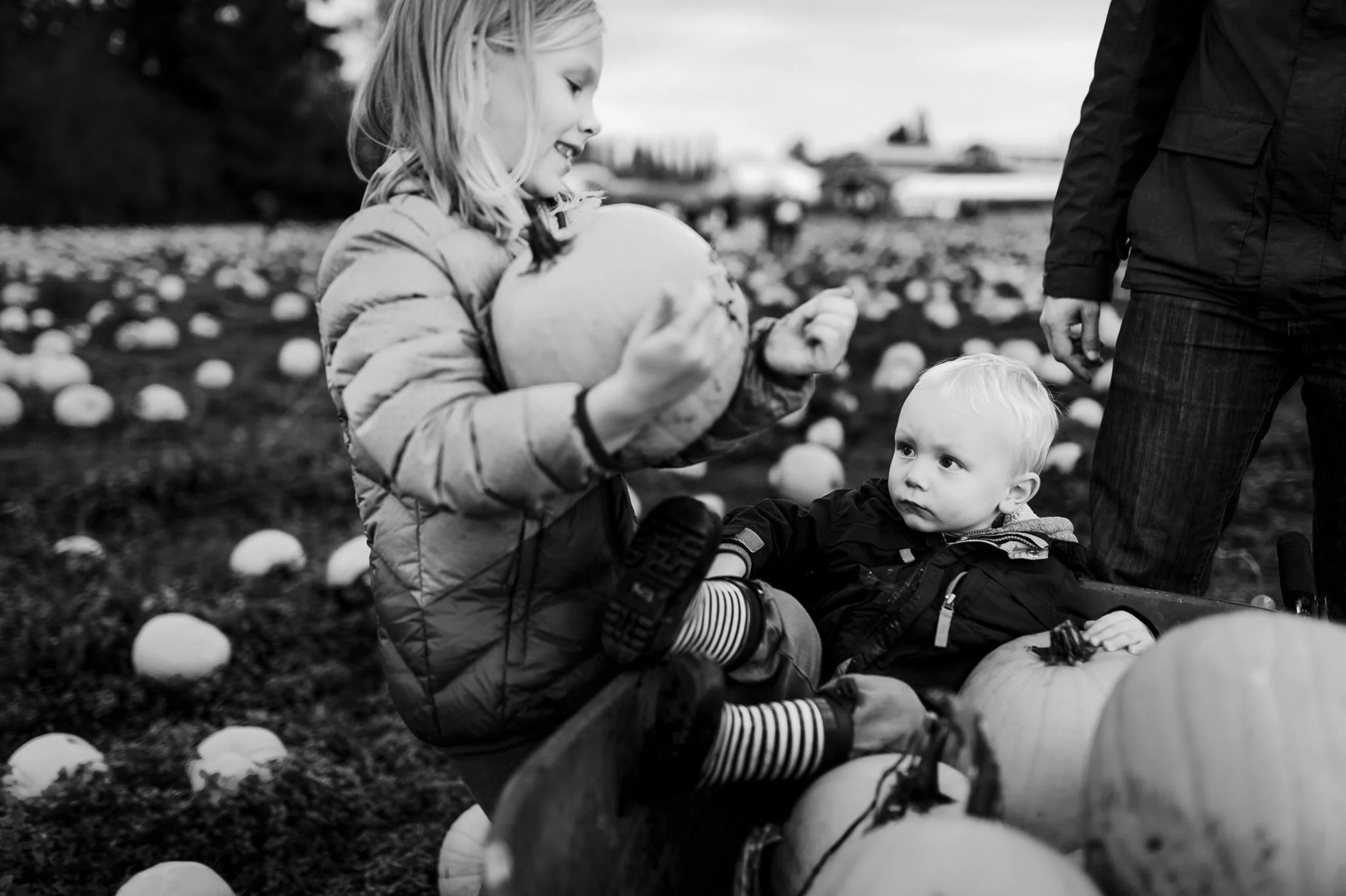 PUMPKIN FARM | Family Documentary Mini Sessions