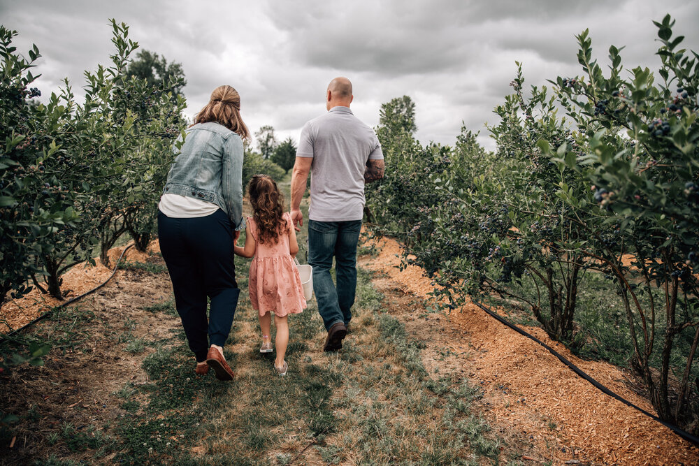 family walking down the path at a blueberry farm