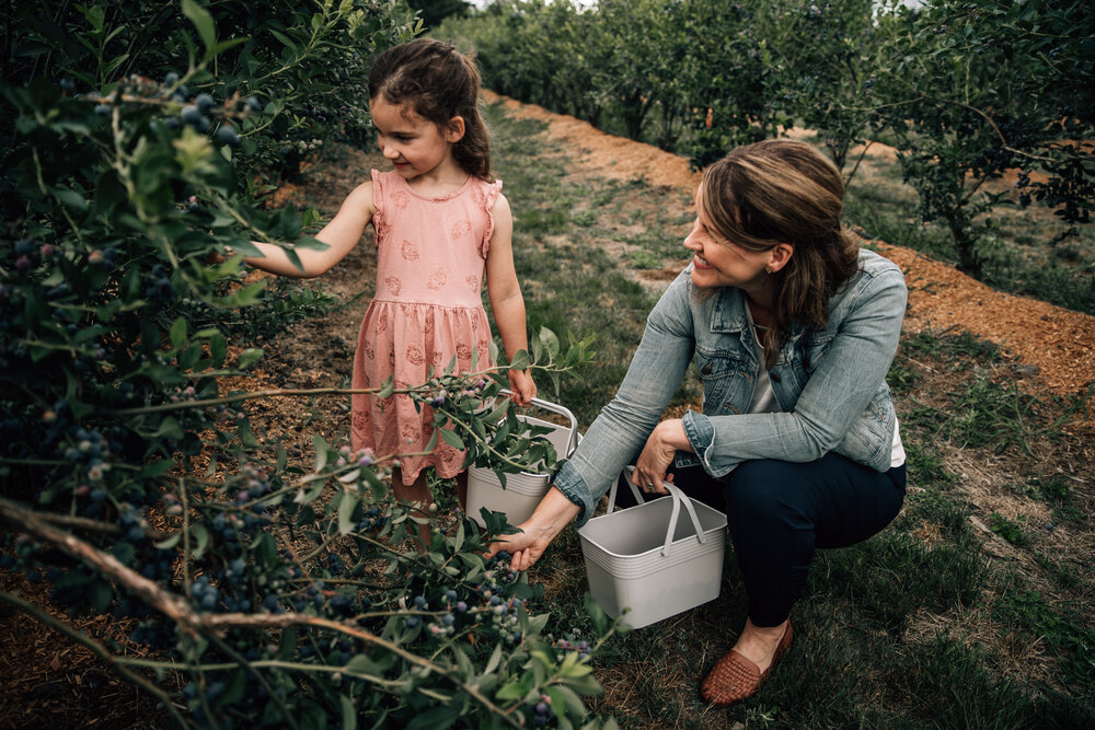 mom picking blueberries with her daughter in pitt meadows