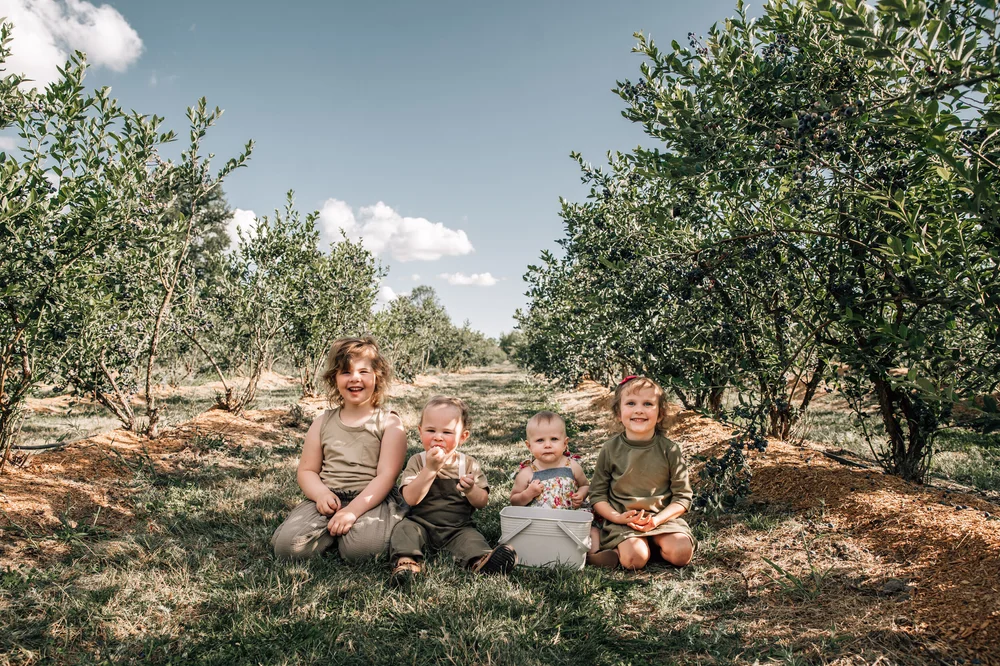 kids in a blueberry field together