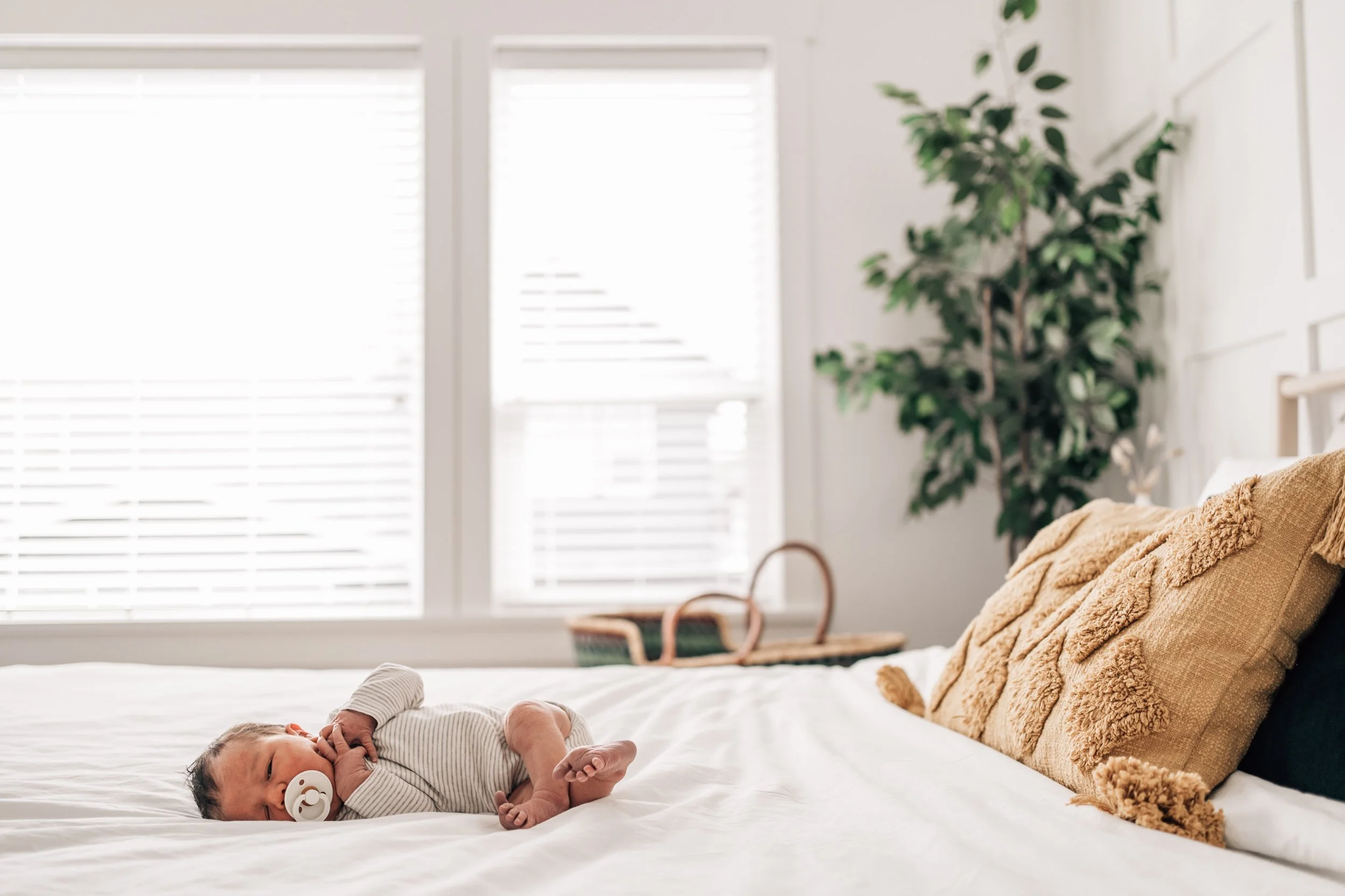 baby lying on bed with yellow pillow and house plant backlit by windows.jpg
