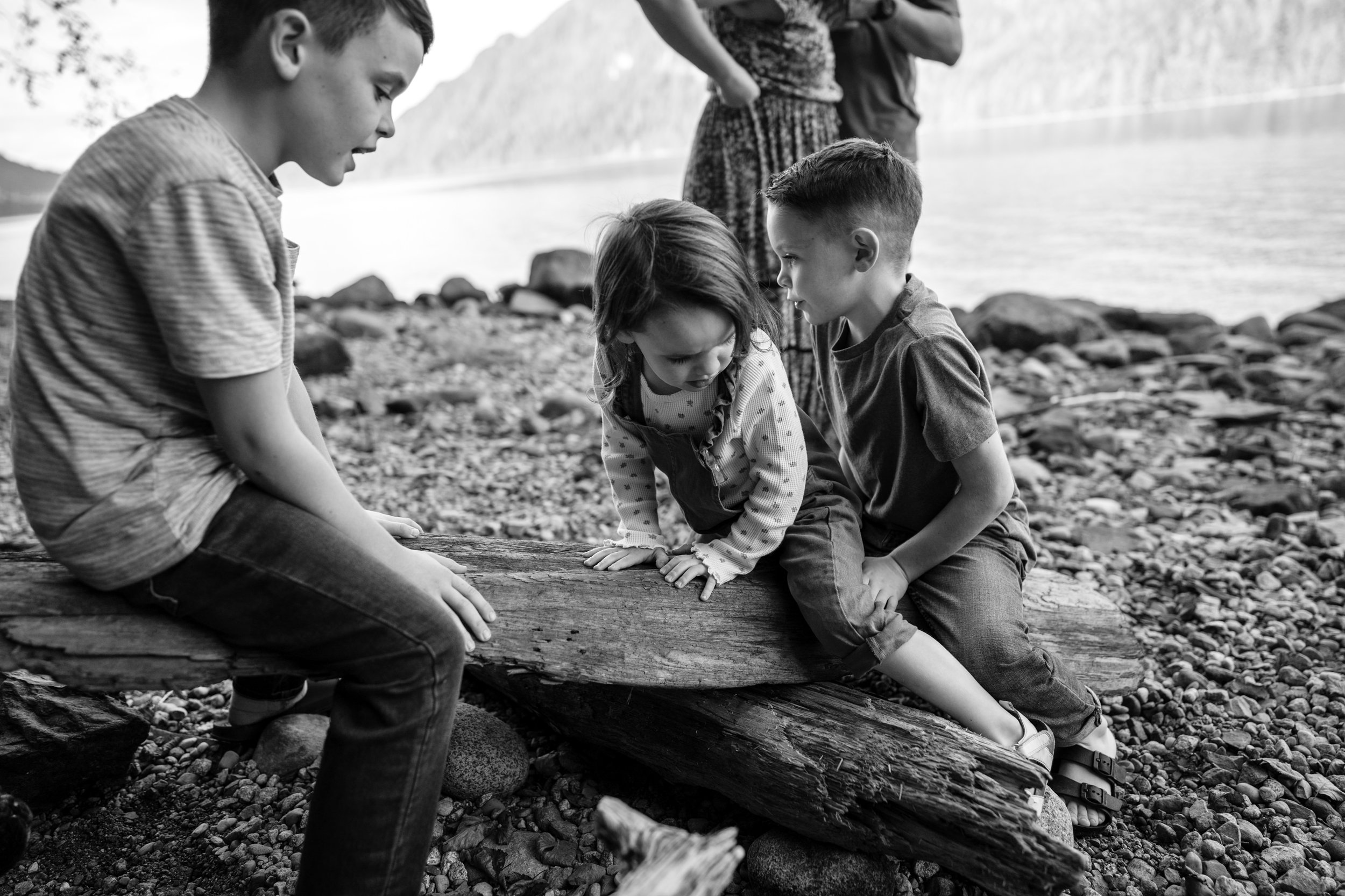 see-saw-log-beach.jpg