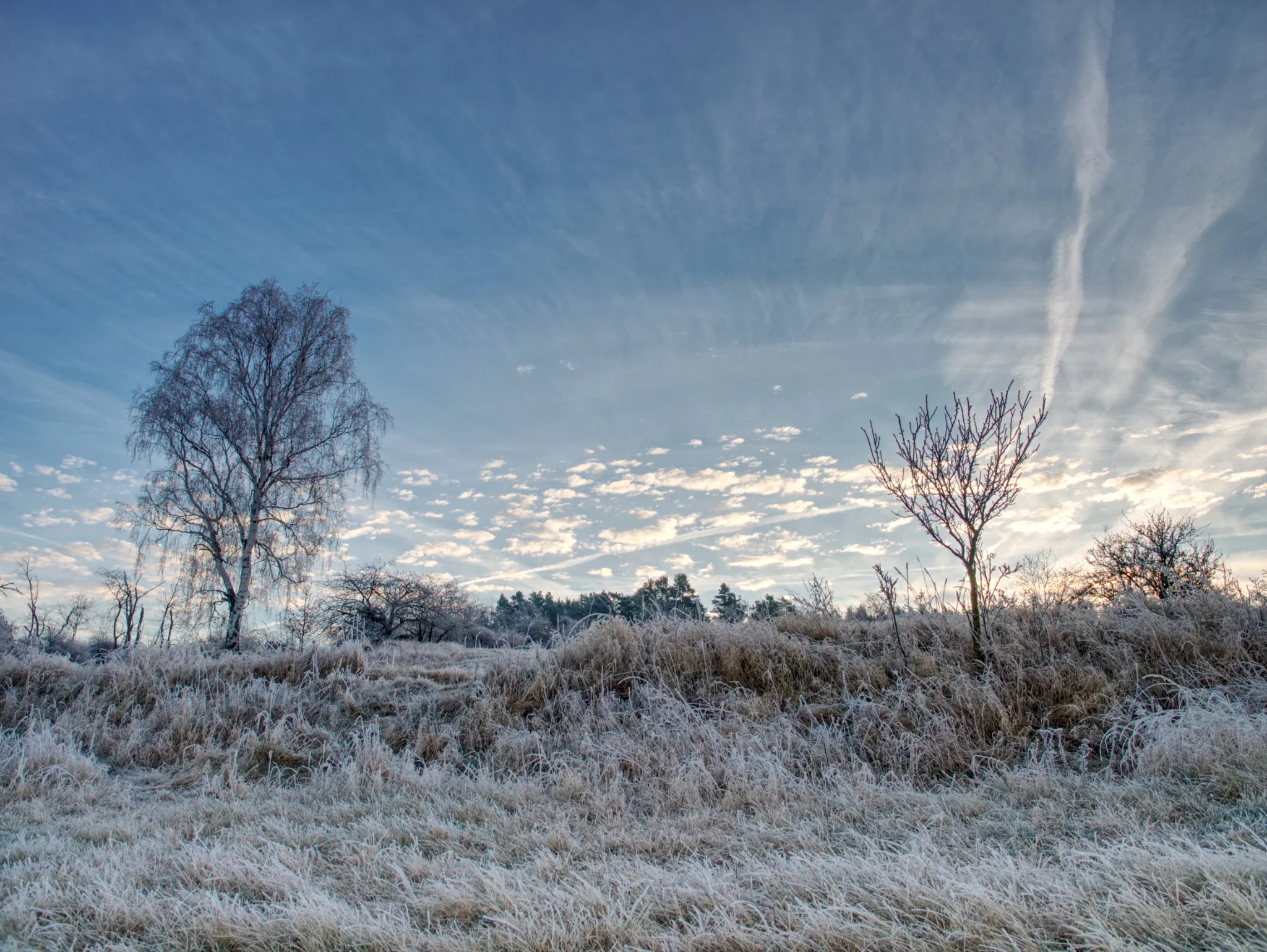 Vánoční aktuality z Jihlavy