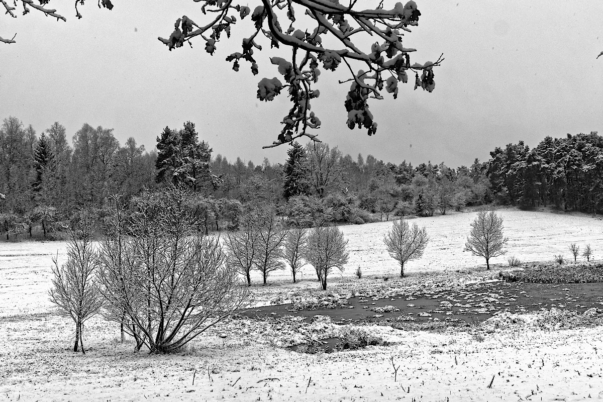 Prezentace a fotogalerie z 9. Zimní konference