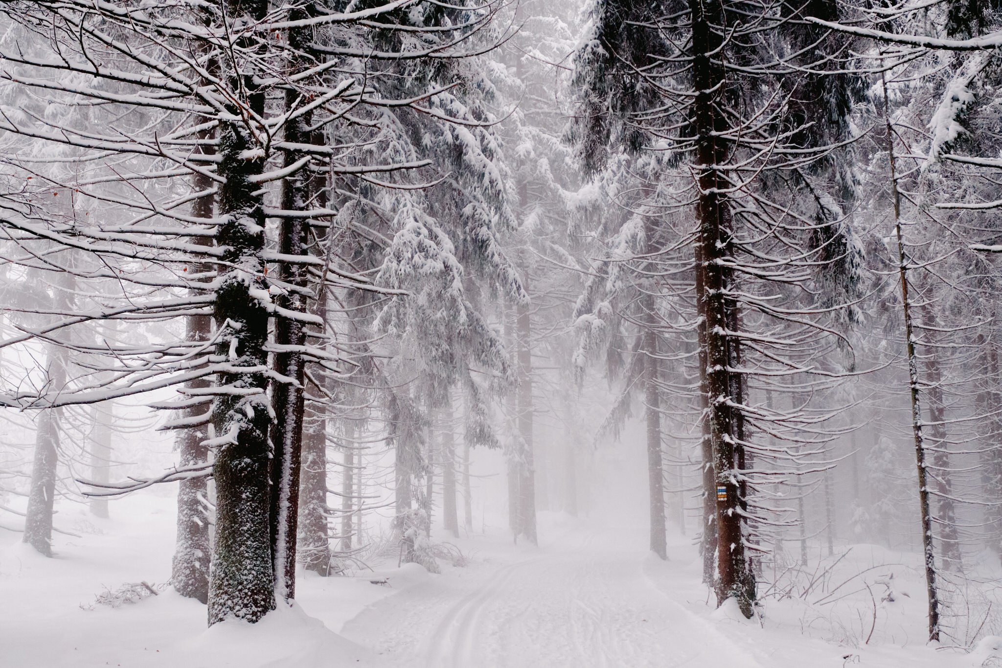 Aktualizace programu k 15. 12. 2021