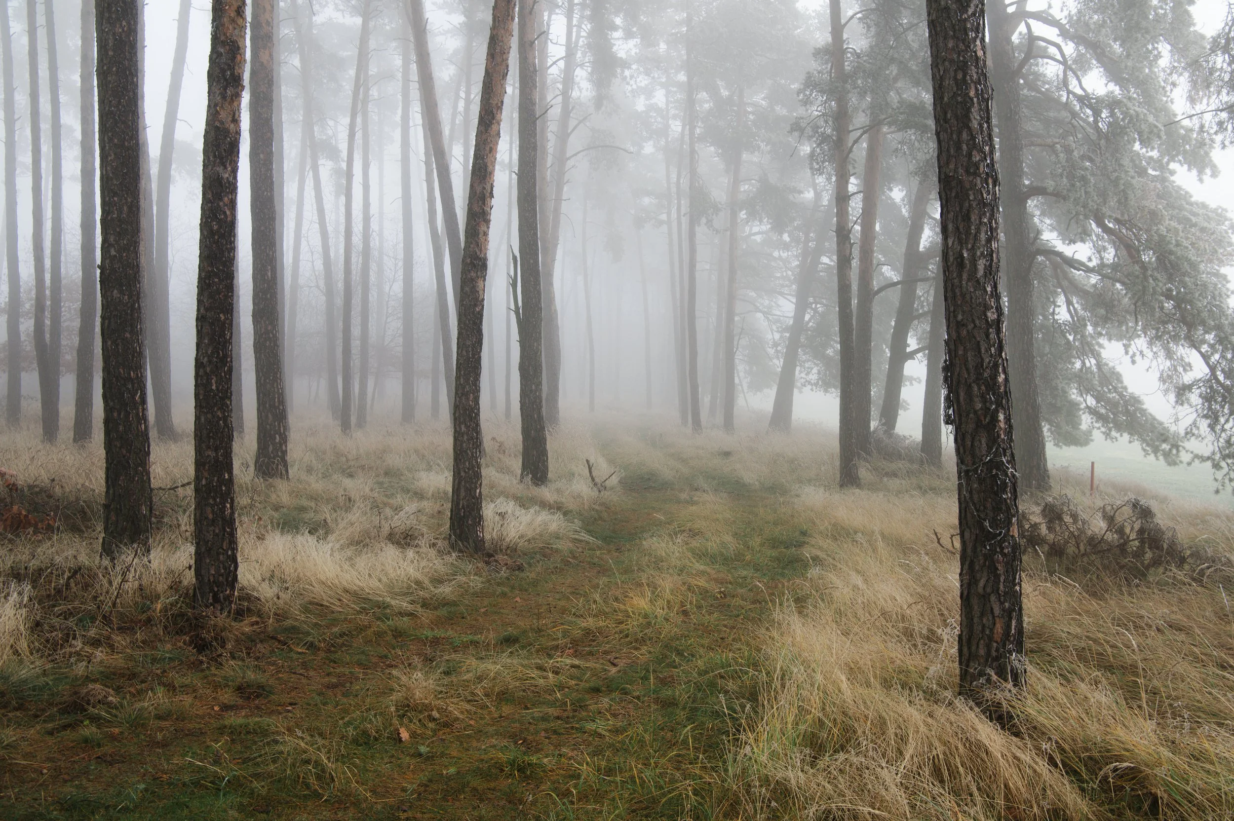 Aktualizace programu