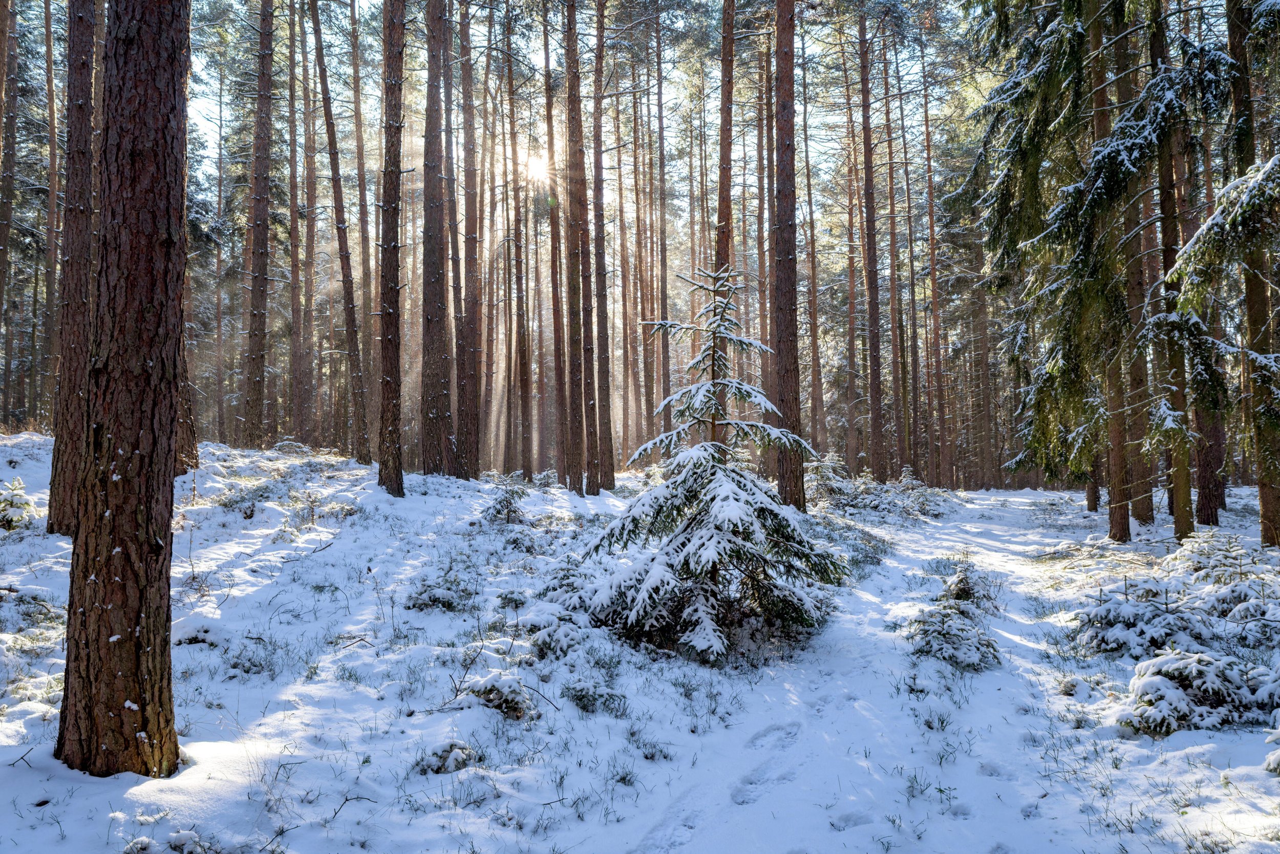 Položte dotaz přednášejícím