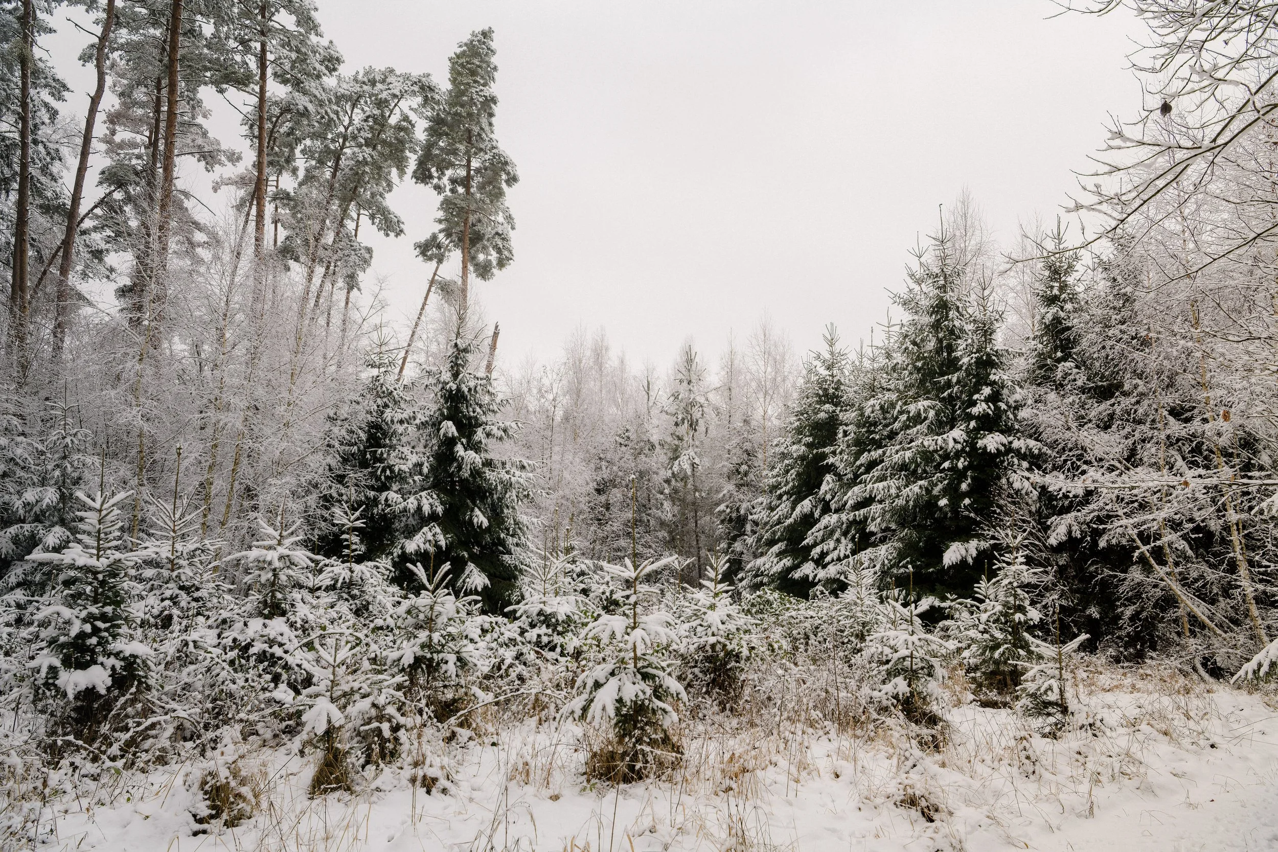 Zveřejněny prezentace a fotogalerie ze XVII. Zimní konference