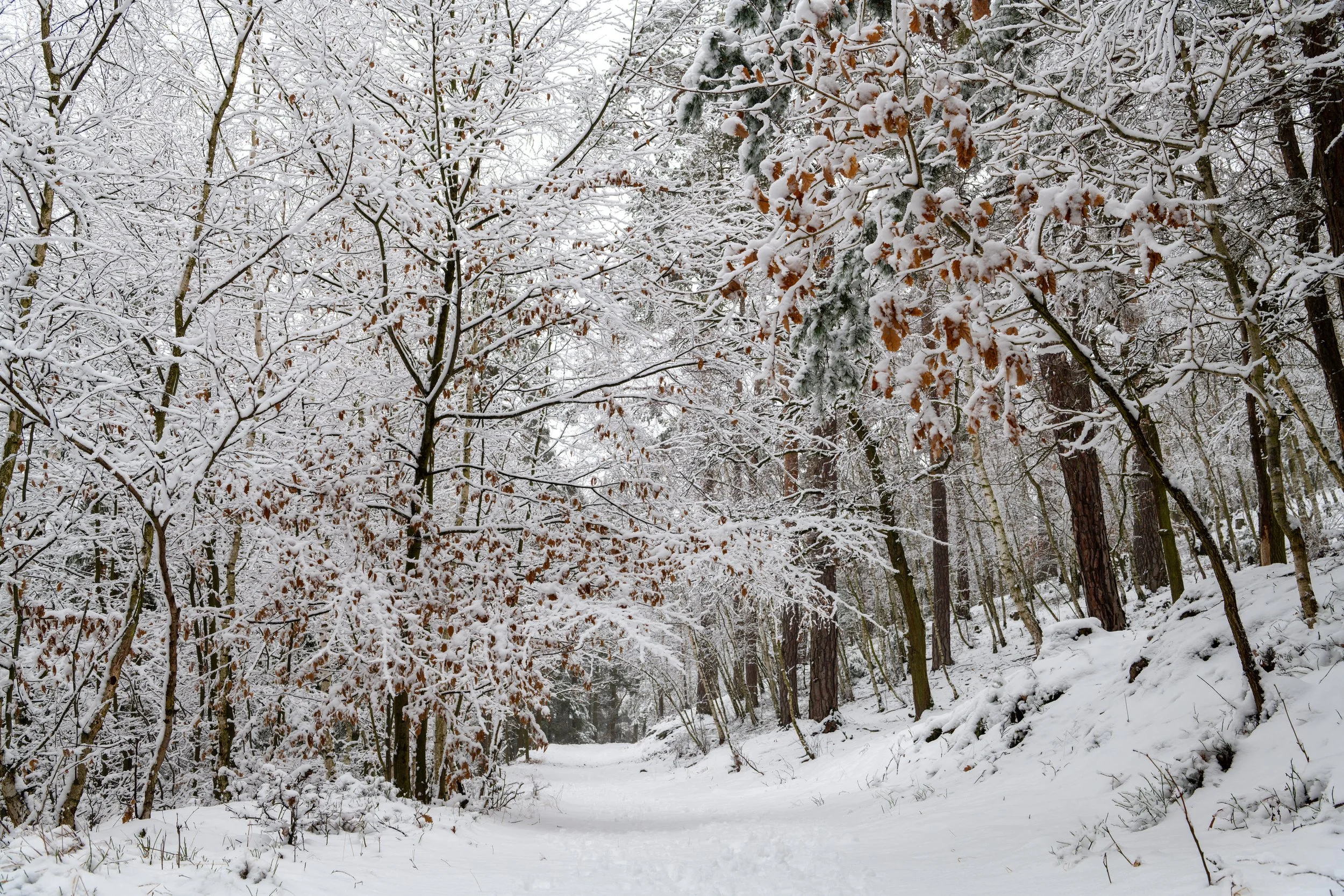 Prosba o zpětnou vazbu k programu