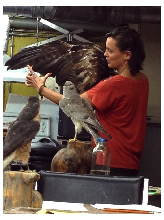 Birds_instructor-web.jpg
