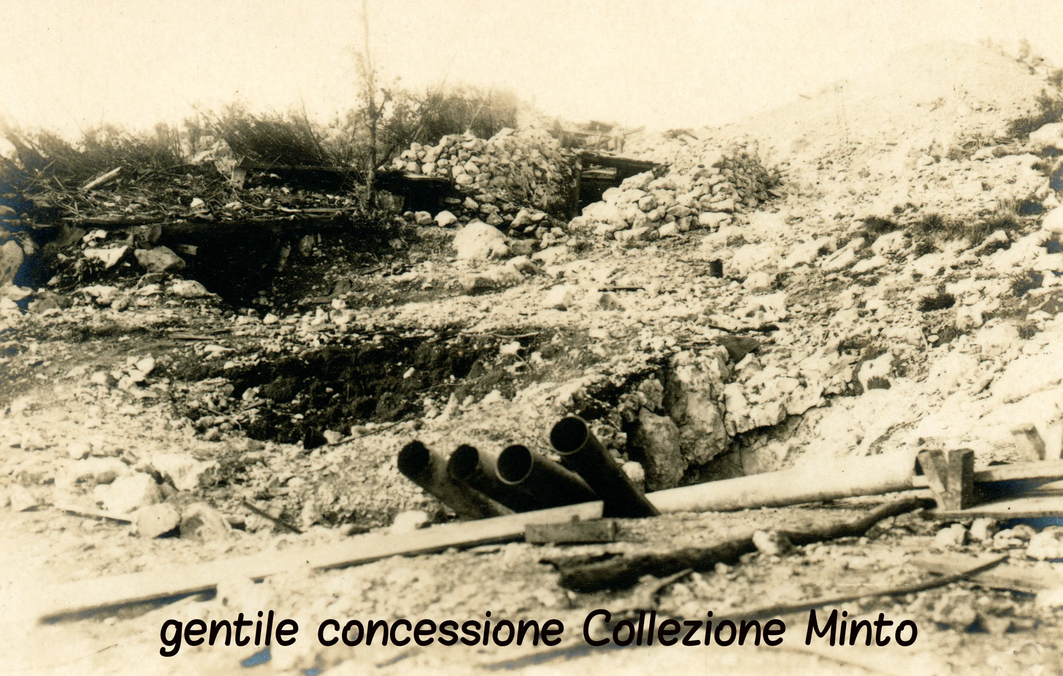 06 - ASDM - coll minto (c).jpg