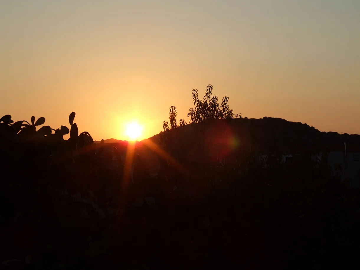 06 - l'alba ad Armungia.JPG