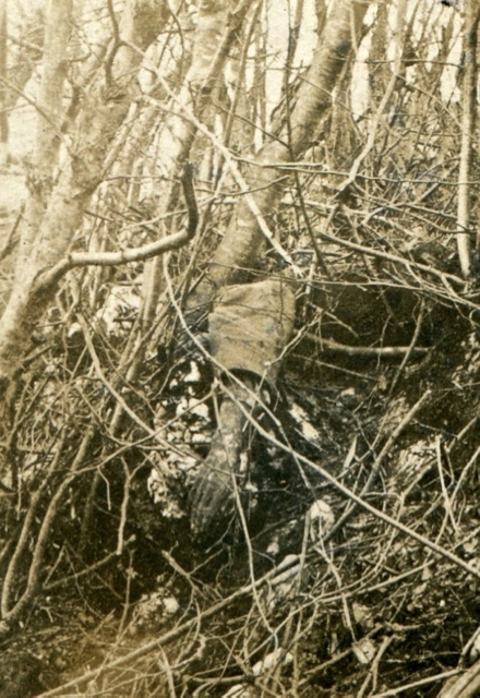 Santa Lucia, 1915: fra le linee.